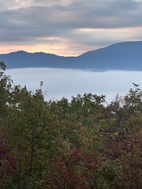 Morning view from porch