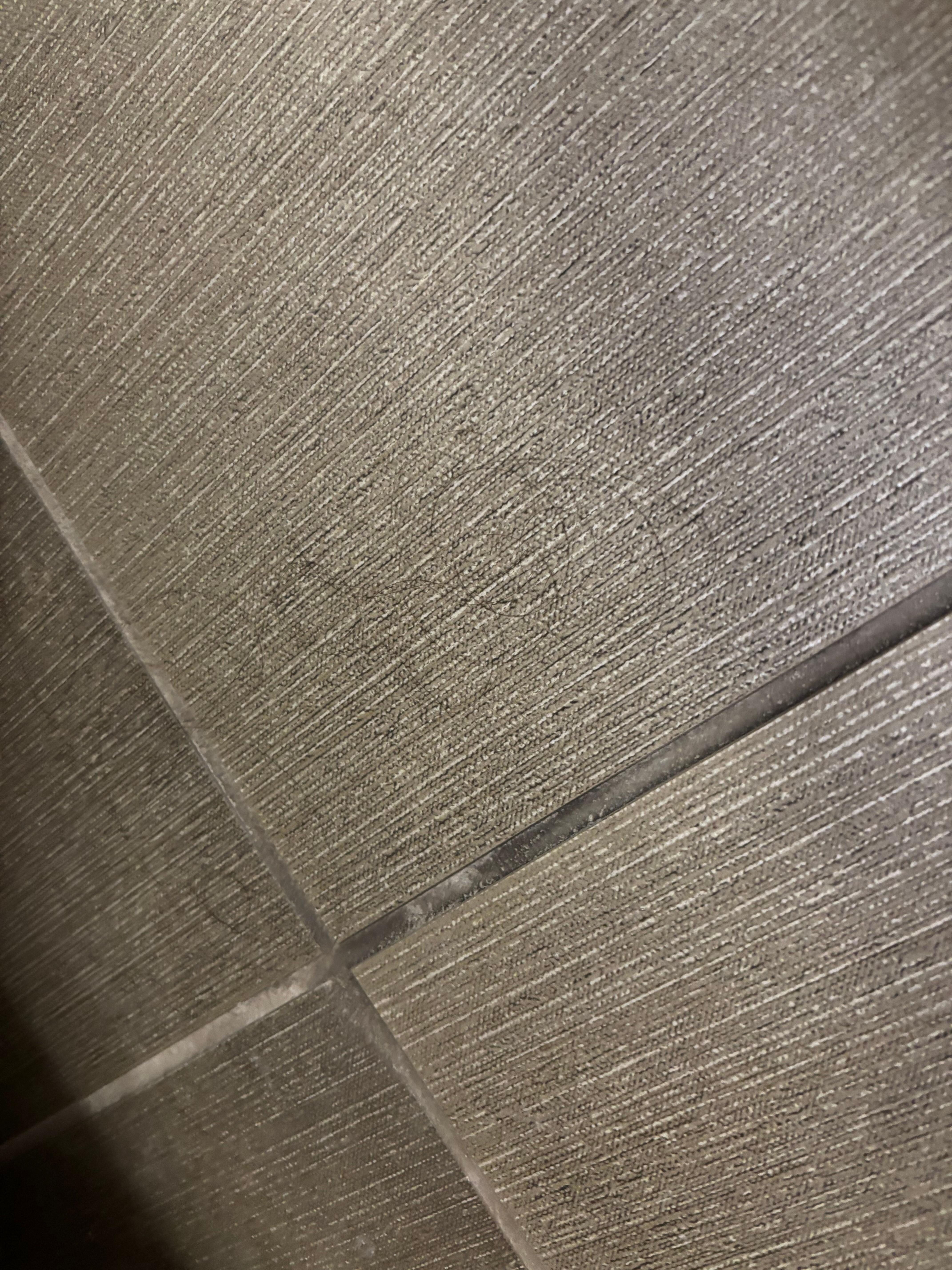 バスルームは髪の毛だらけ