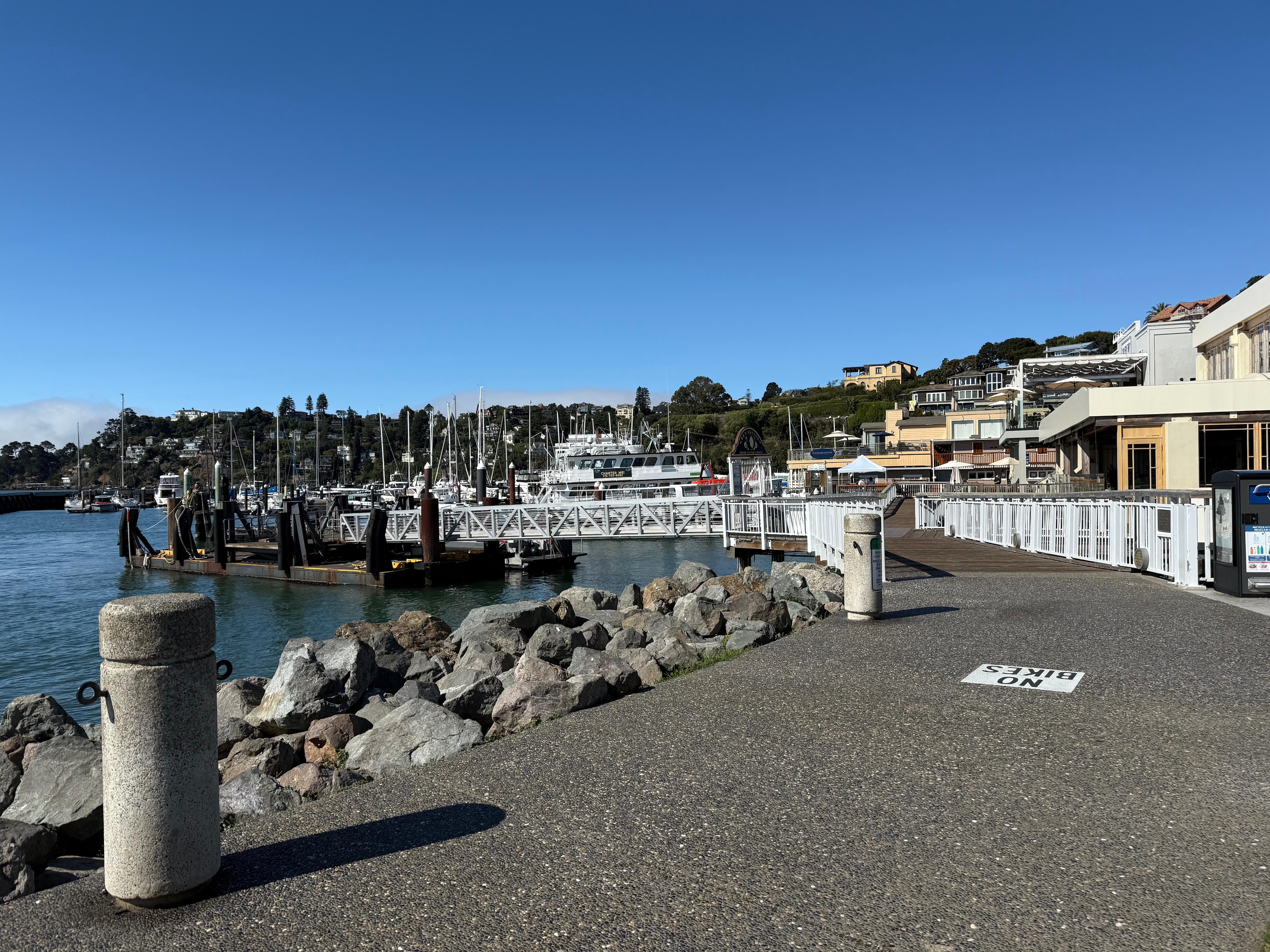 Down near the ferry. Get great coffee and a sweet from Arci (spelling?), find a bench and enjoy the view and the dog and people watching. 