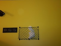 Old tissue left next to the top bed by previous tenants. AWFUL