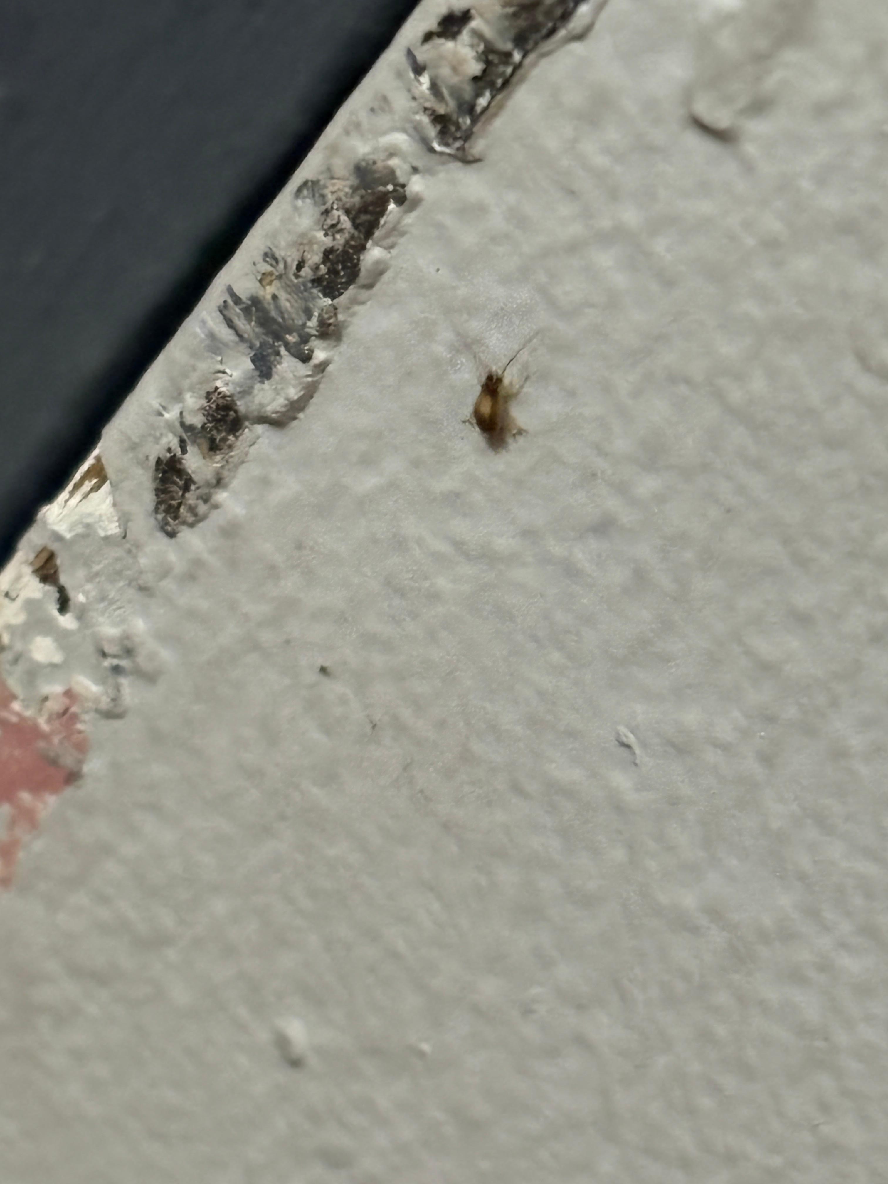 Most were a lot bigger than this 