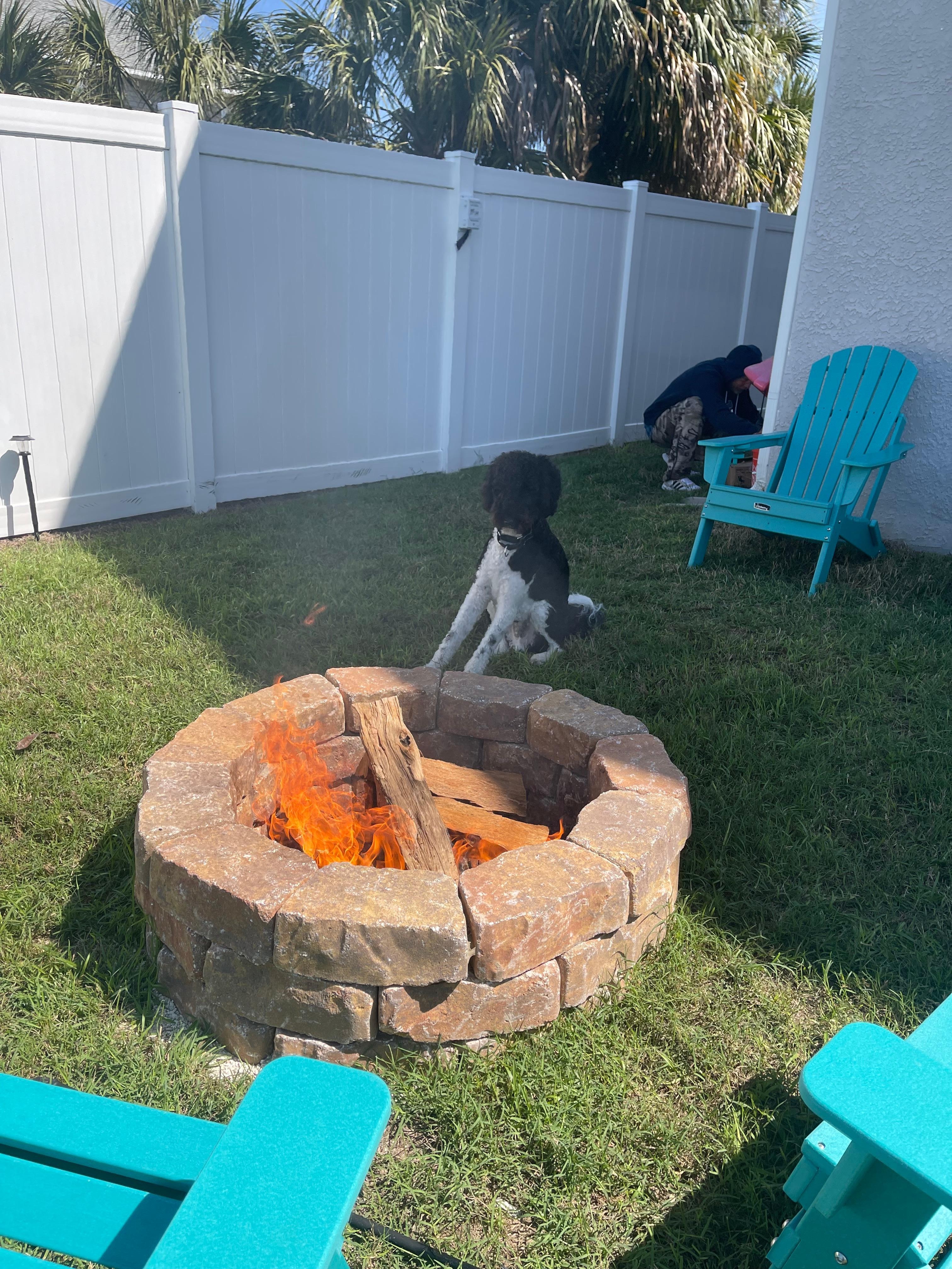Our dog loved the back yard! 