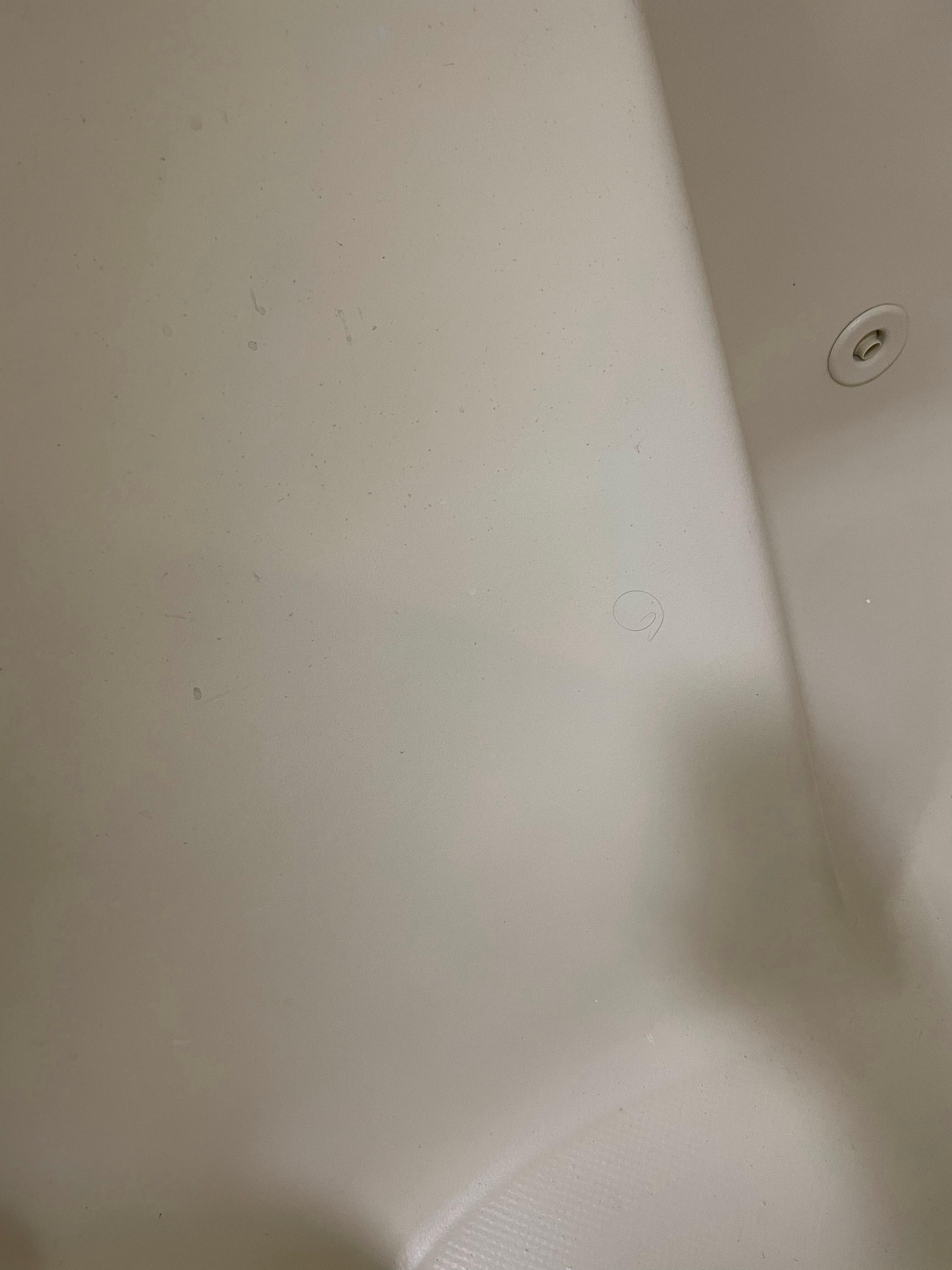 Jacuzzi in the Victoria Suite which was not cleaned properly and had hair from a previous user.