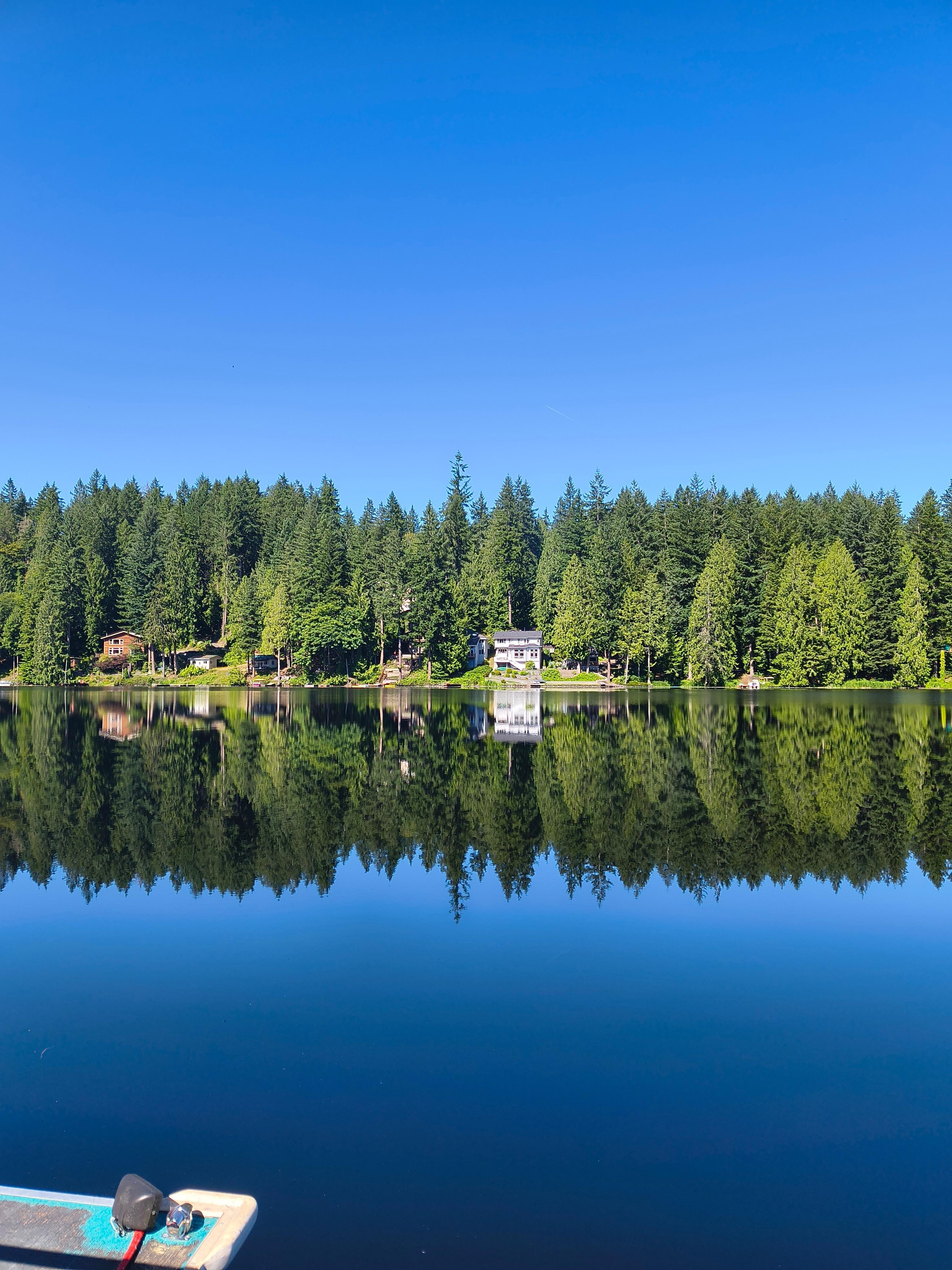 Lake view 