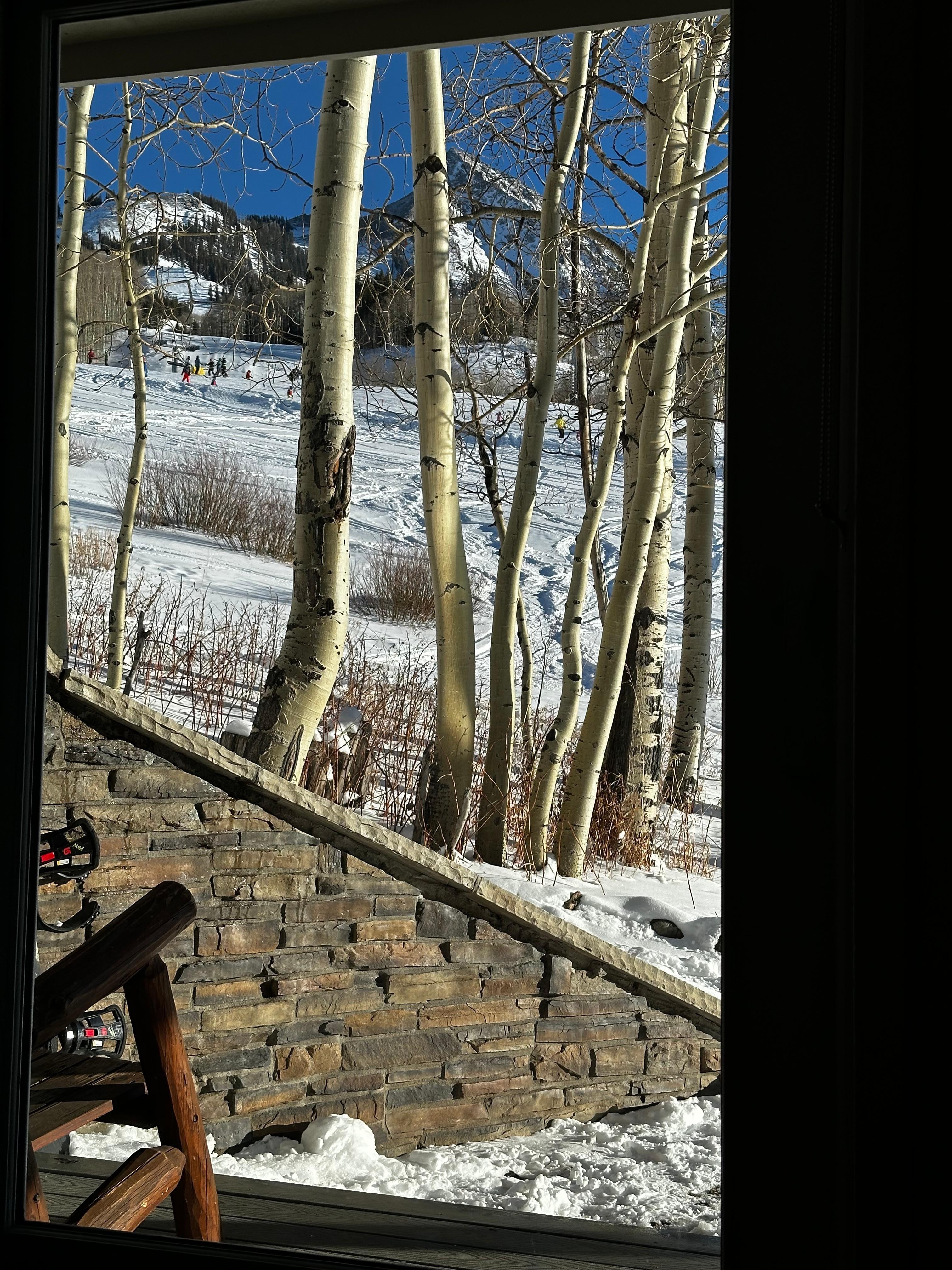 View from the back porch. 