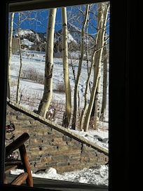 View from the back porch.