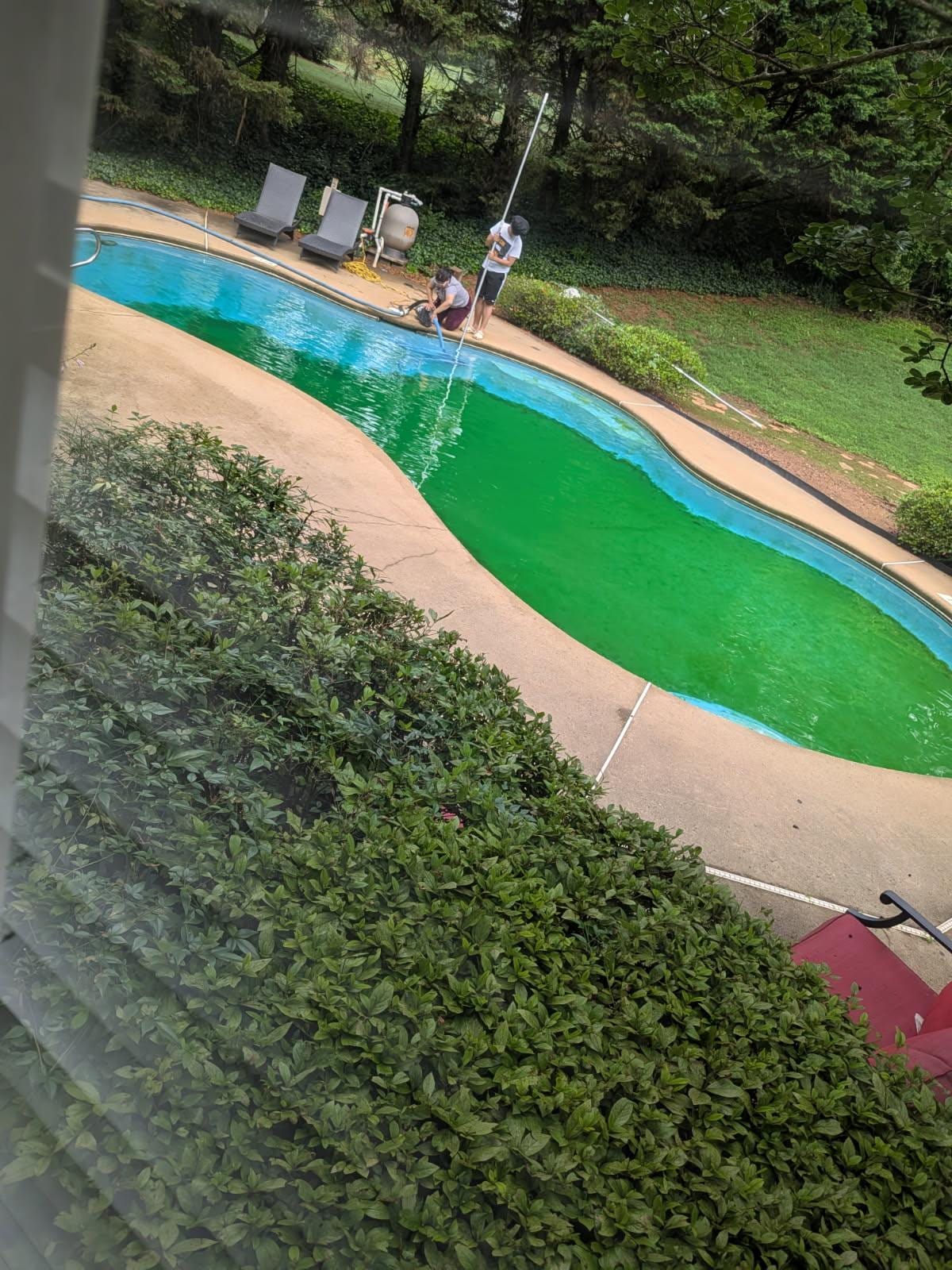 Second day after first treatment.