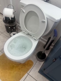 Downstairs Backed up stool from little tissue