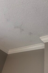 Mold on ceiling