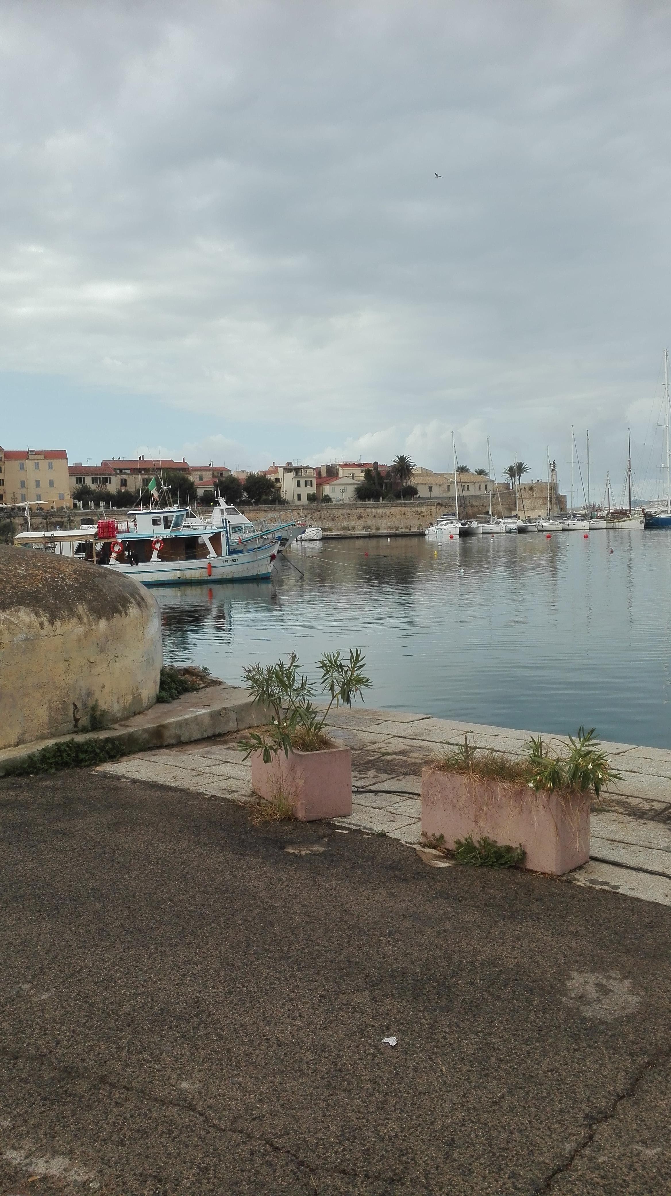 Il porto
