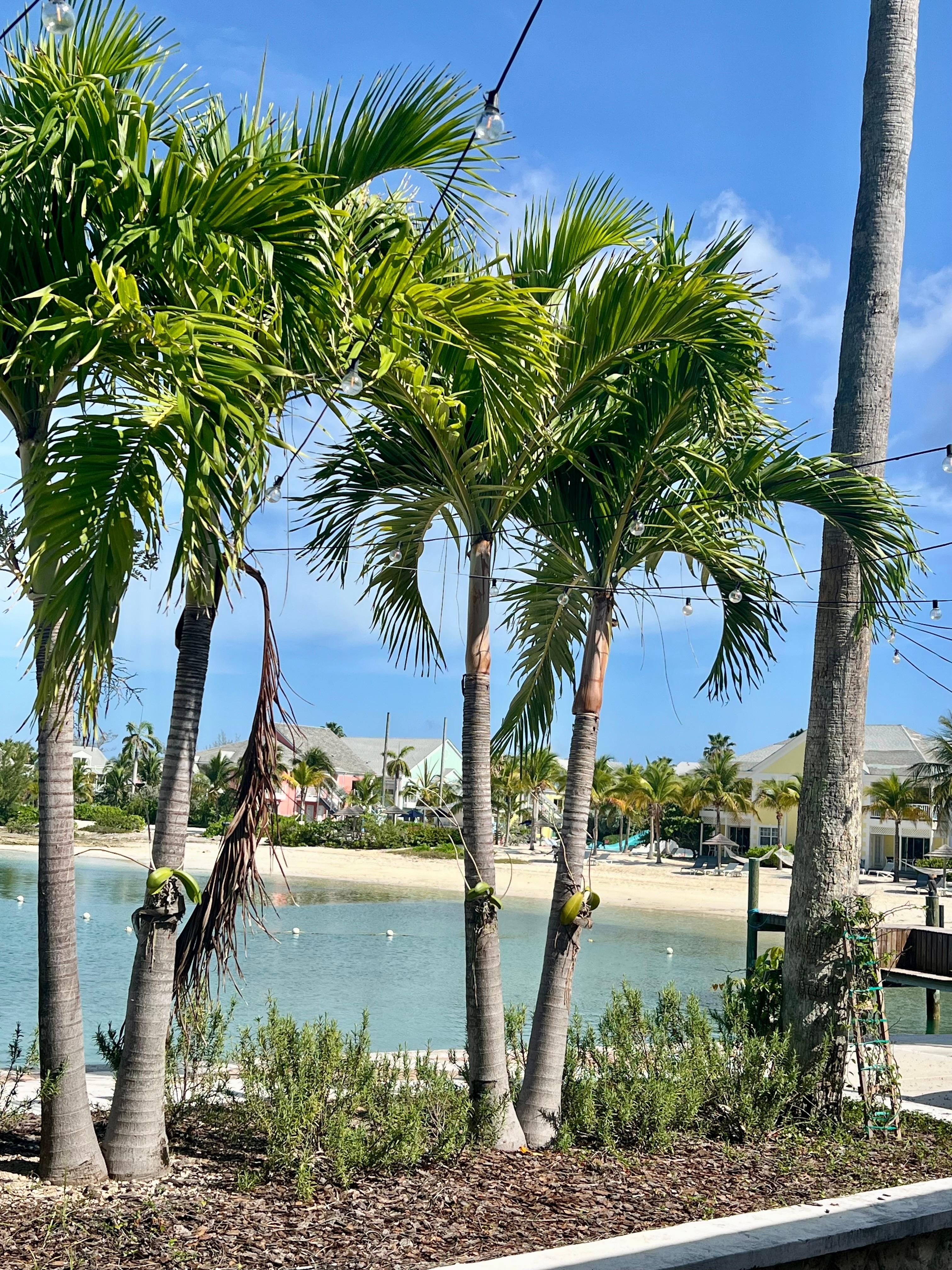 Lagoon.