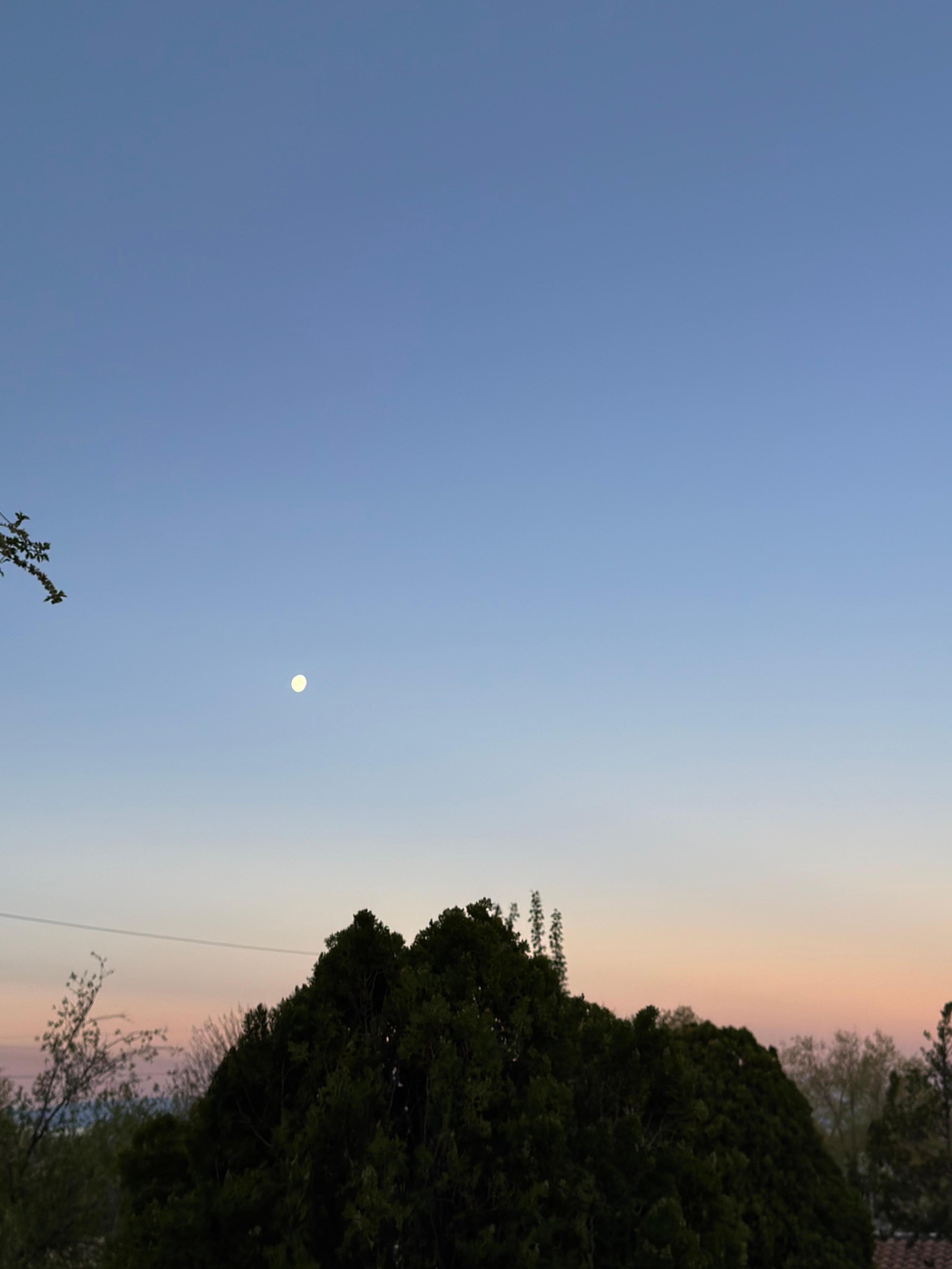 From my room which was right over the pool on the 2nd floor 