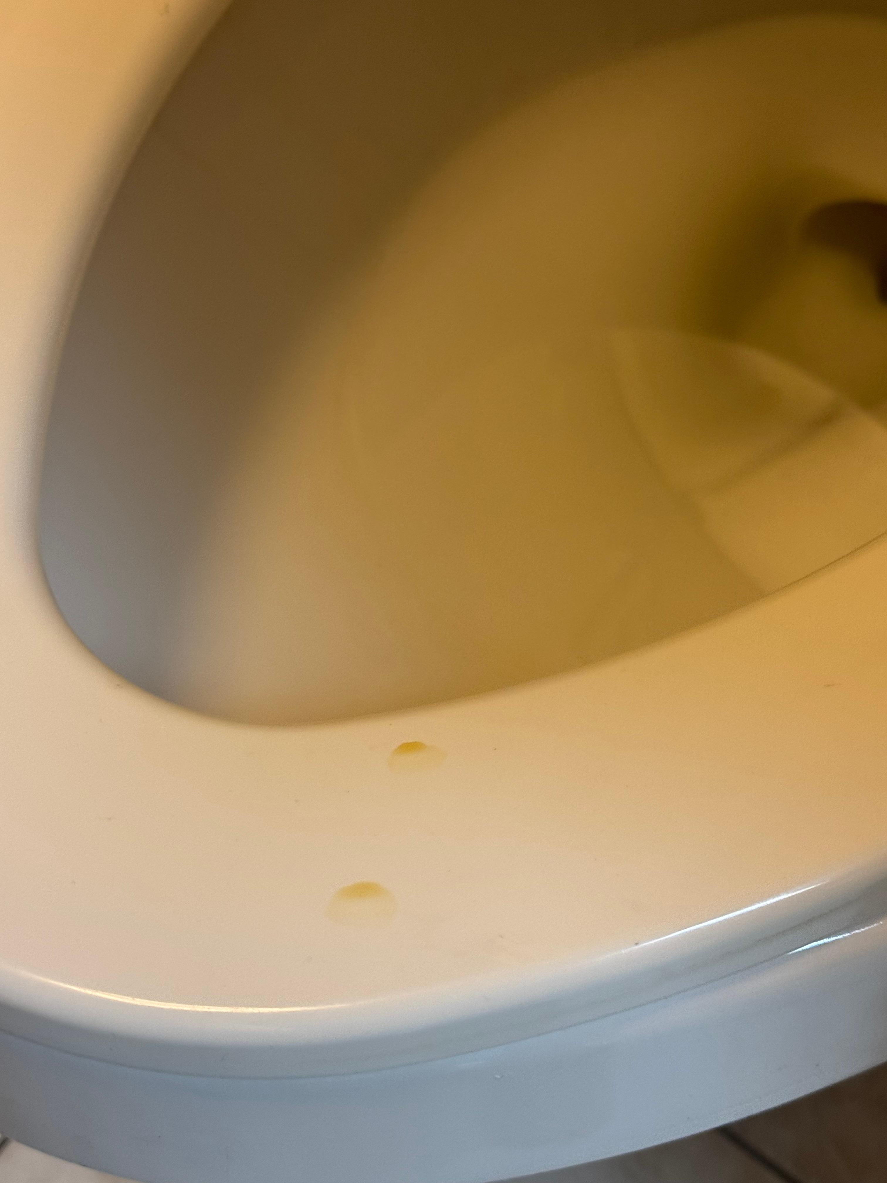 Urine on the toilet seat. 