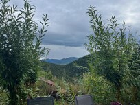 La vue du jardin