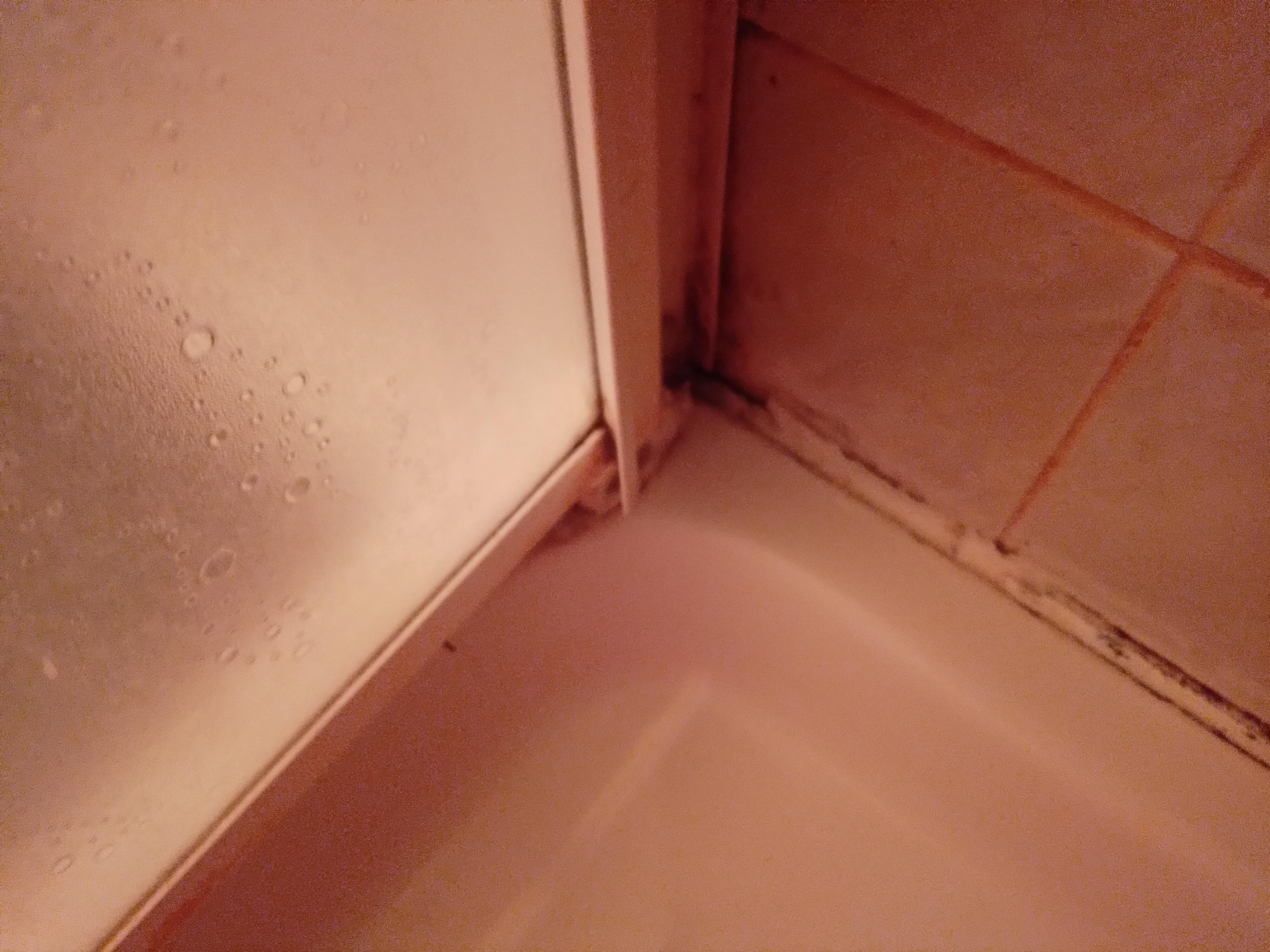 Shower trim