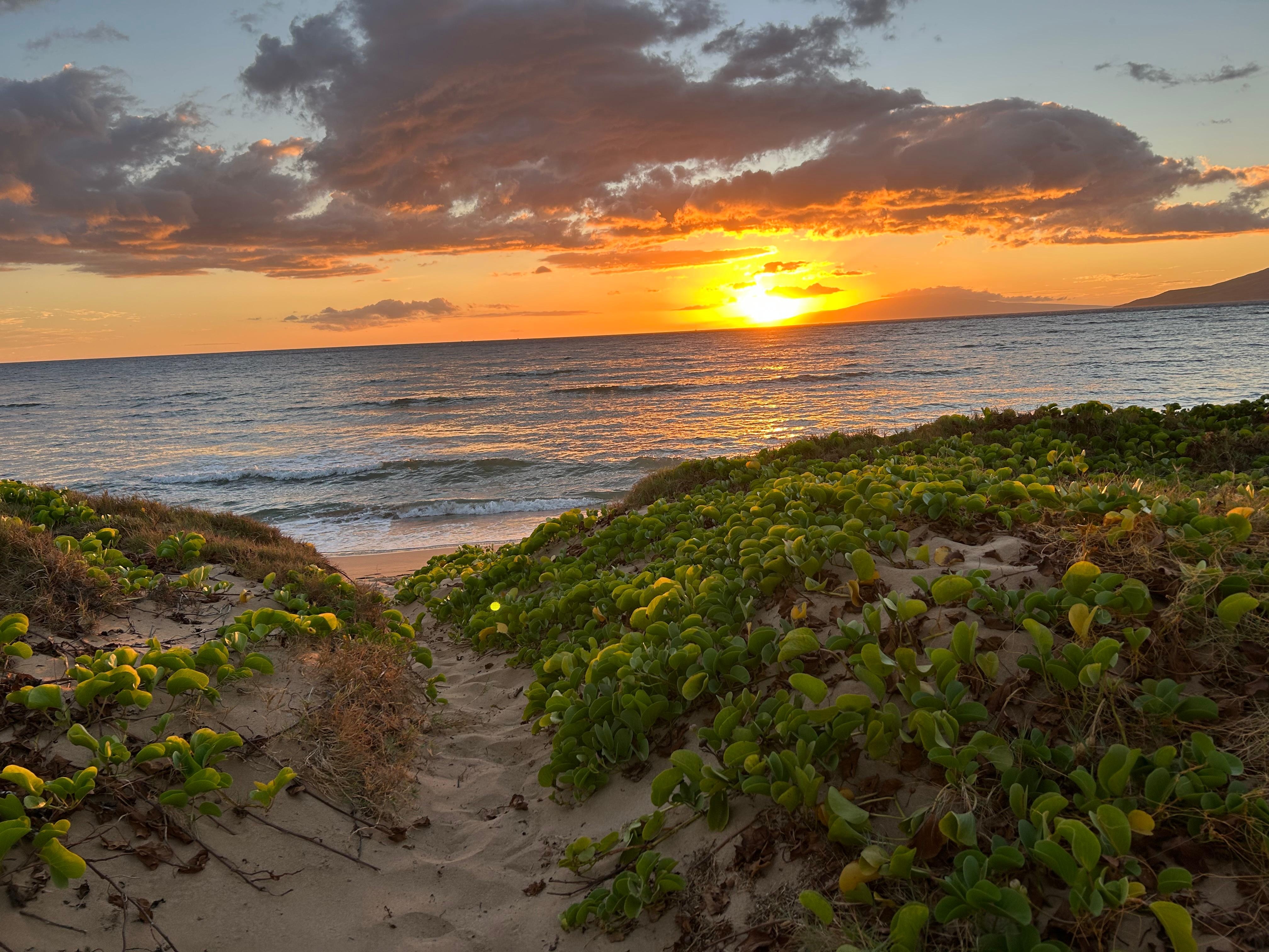 Walking out onto beach.