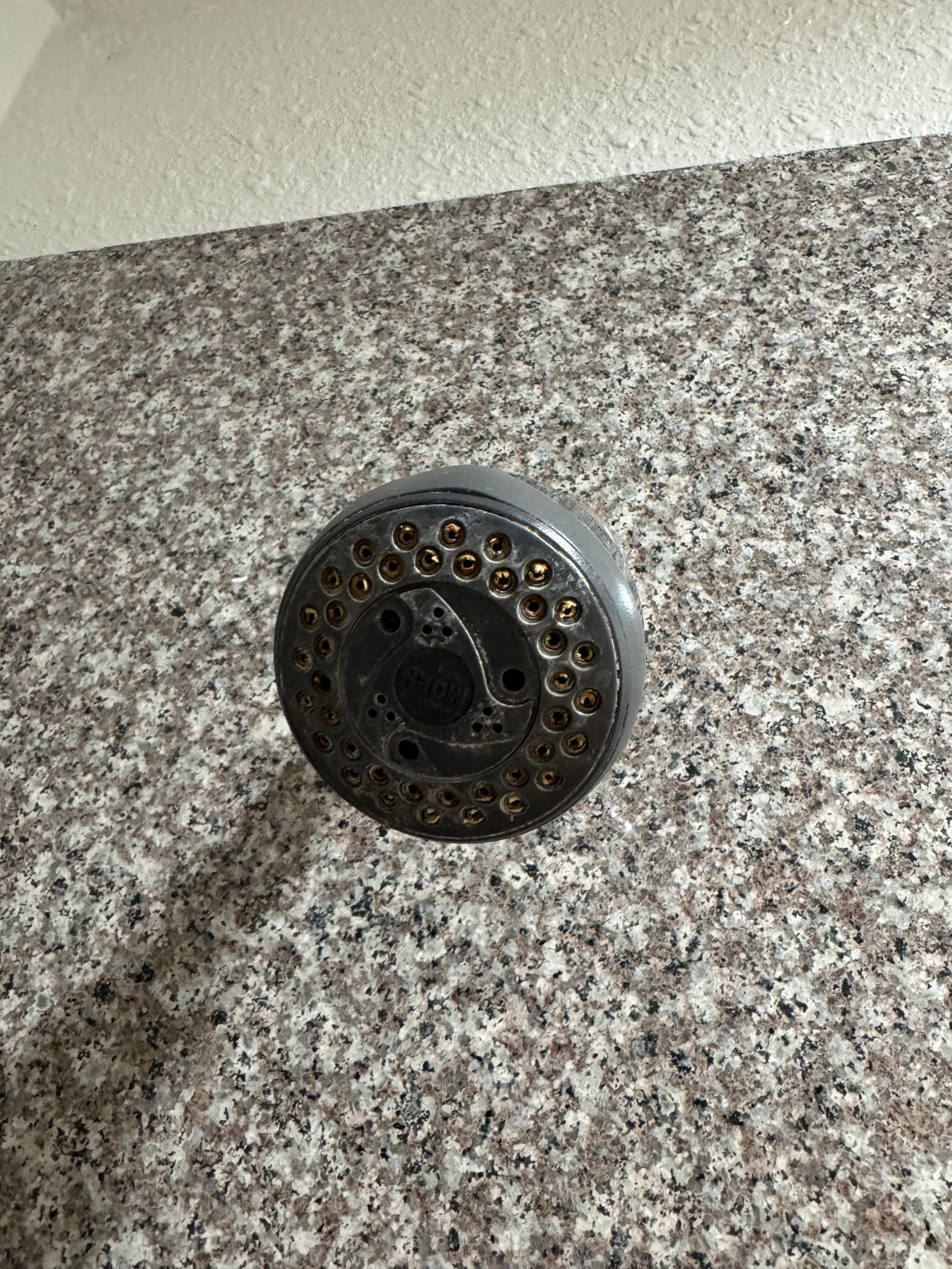 So much rust and calcium it was disgusting. 