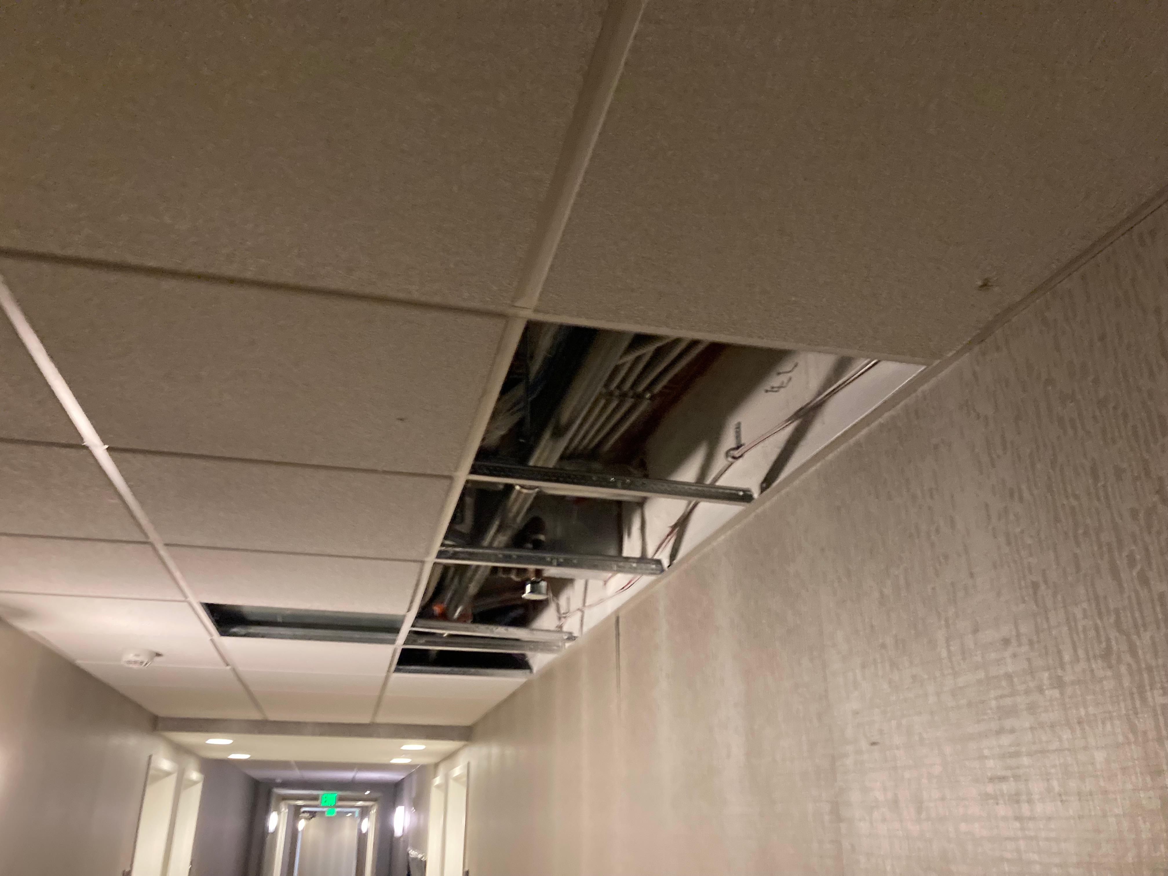 Ceiling tiles removed