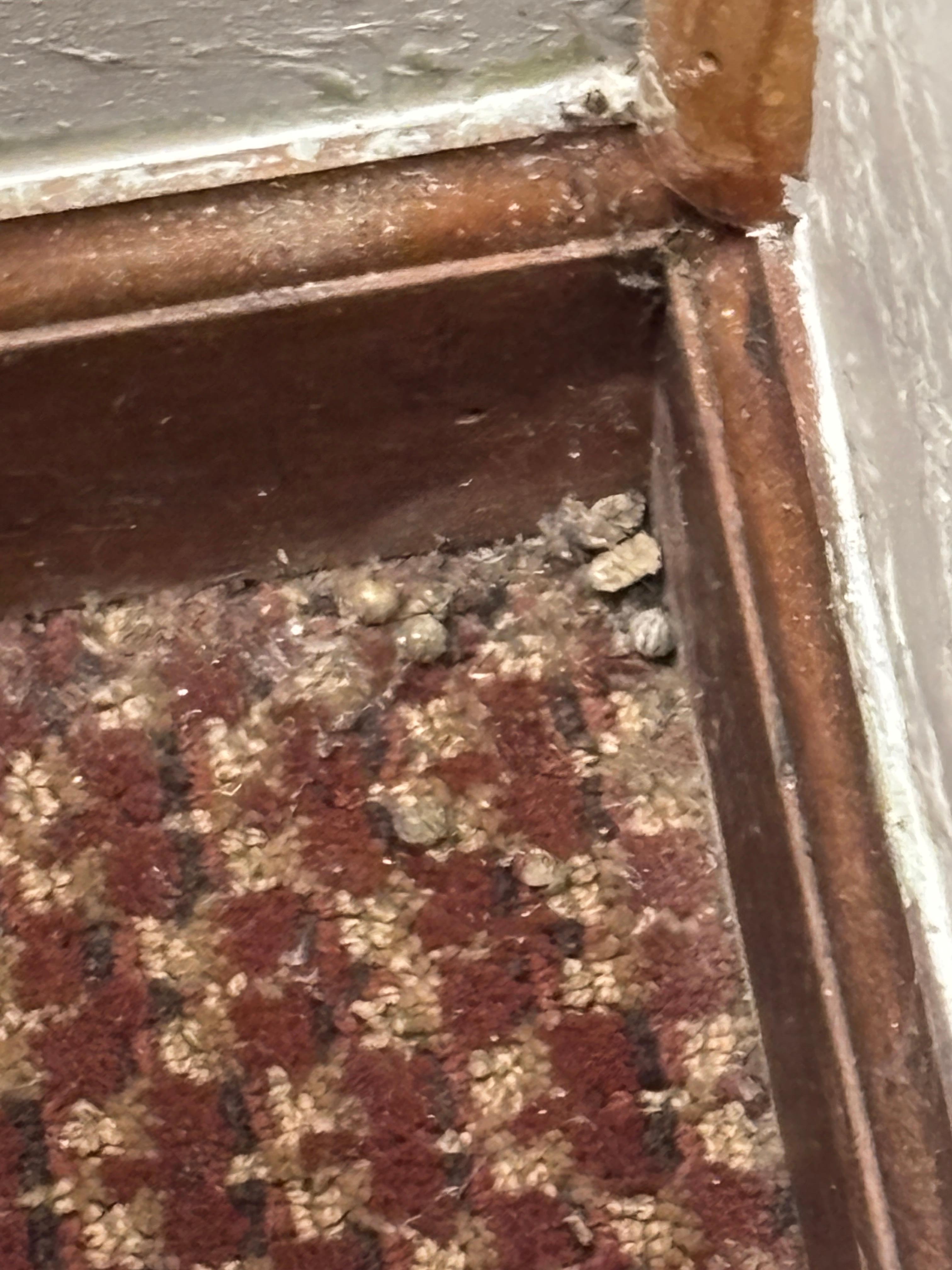 Not sure what to say