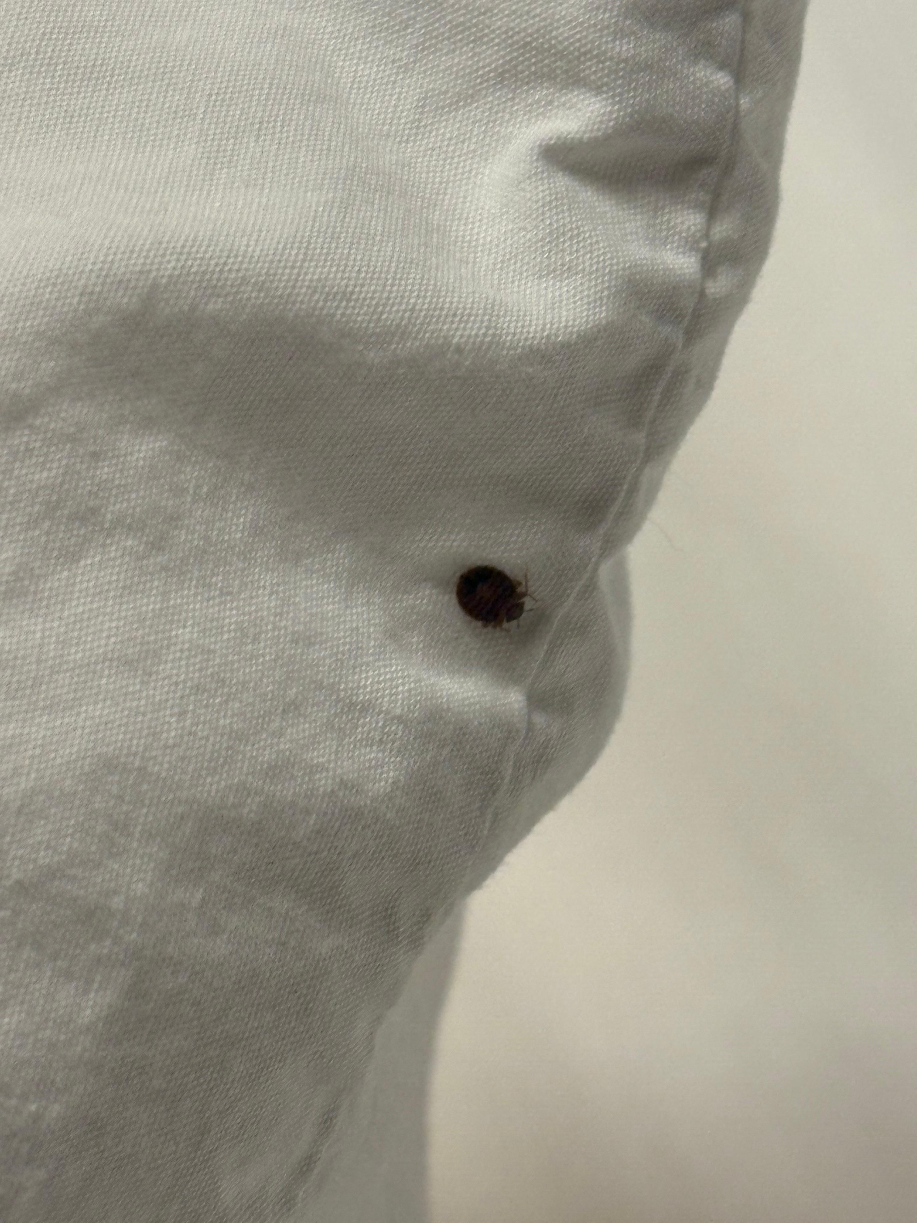 My freeloading roommate 