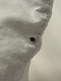 My freeloading roommate