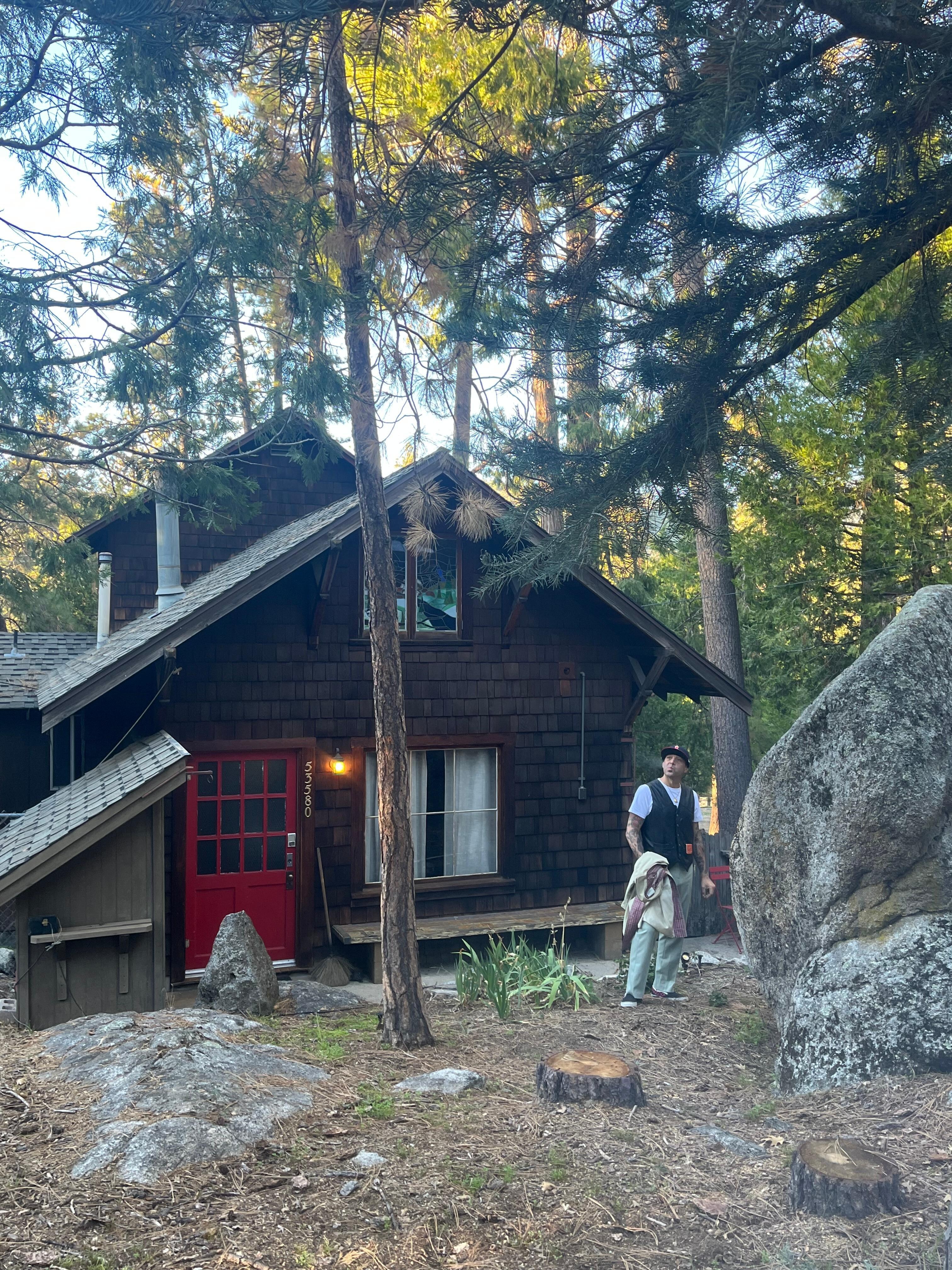 Almost looks fake, but it is beautifully real