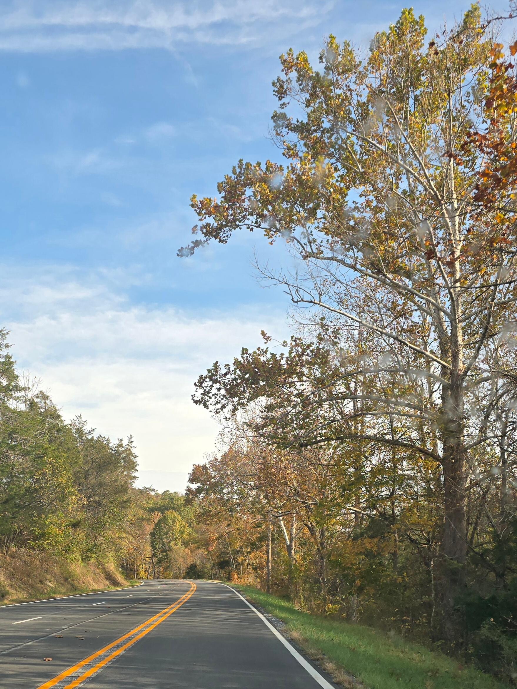 Country road leading to Buffalo Creek from VMI.