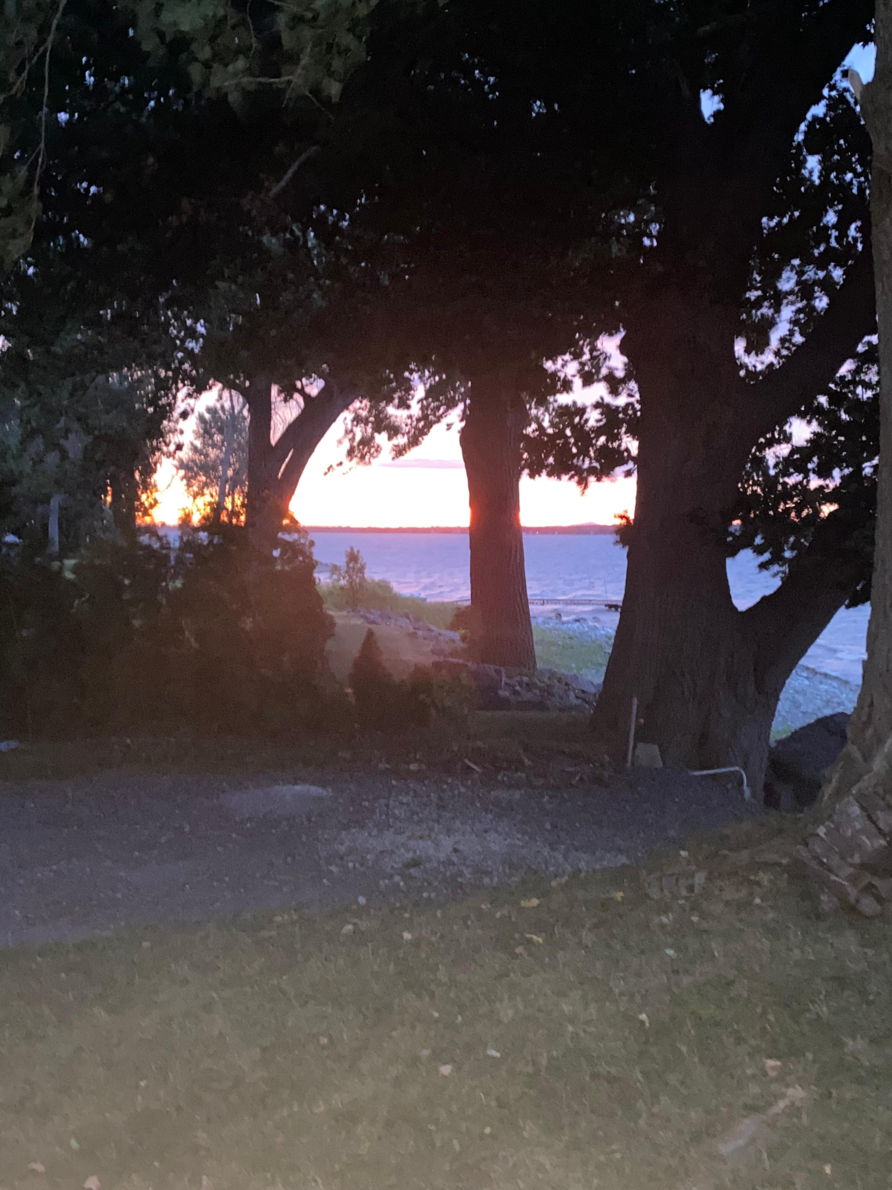 Sunrise from the yard