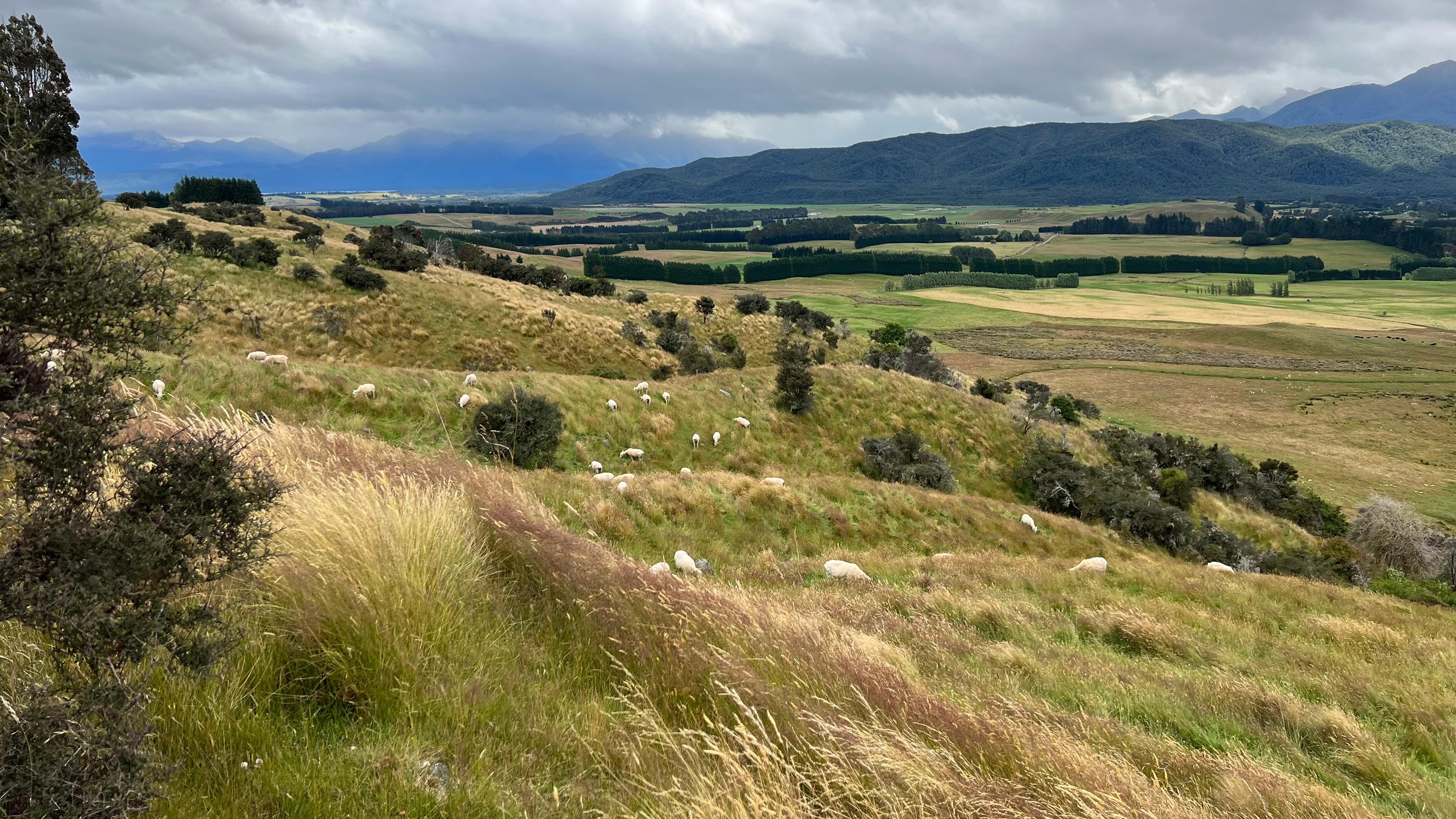 View from the top of the road