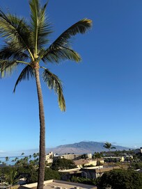 View from the front of the condo.