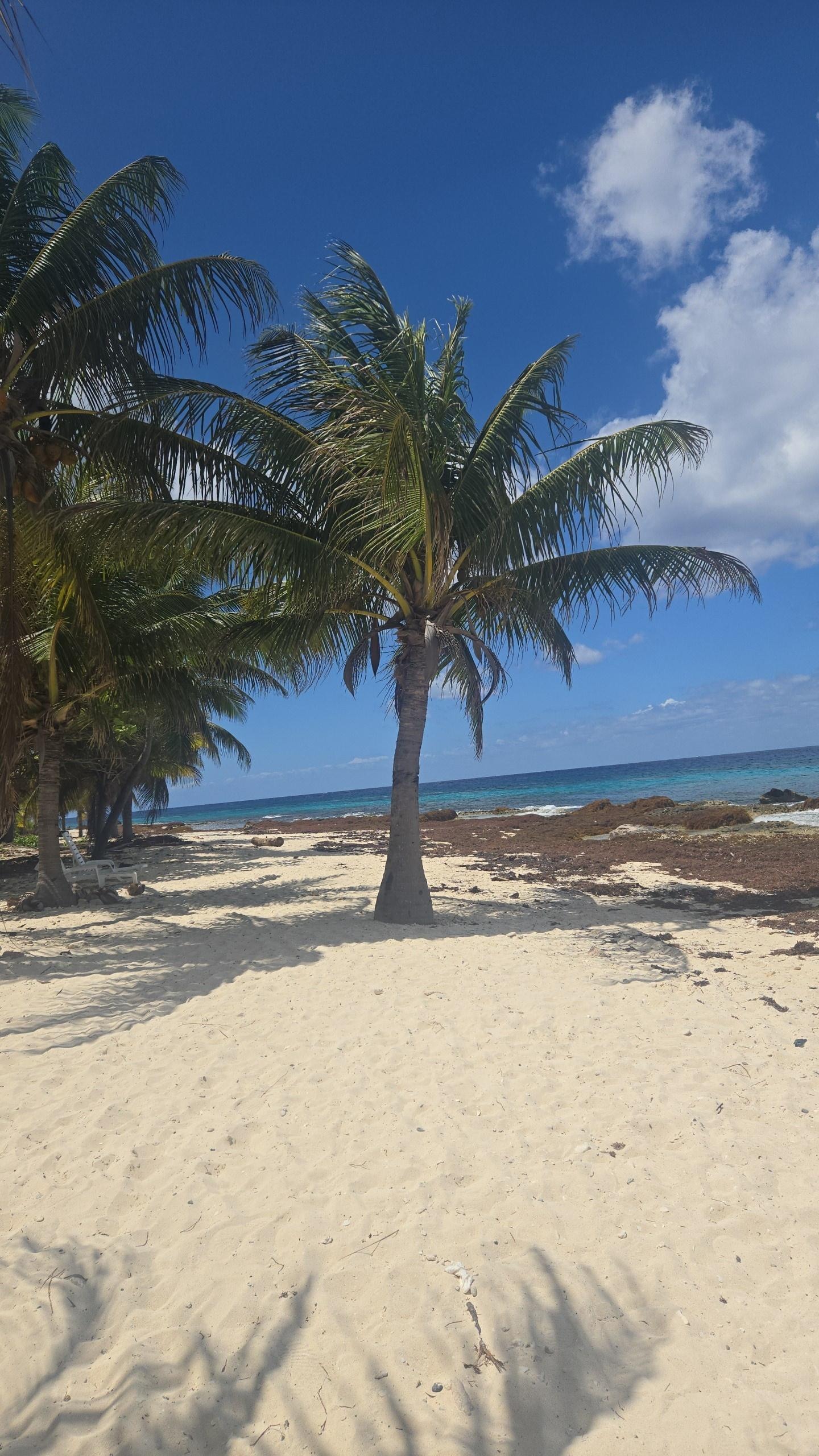 Beach and snorkeling are a high light!