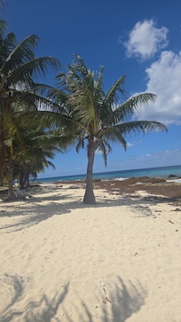 Beach and snorkeling are a high light!