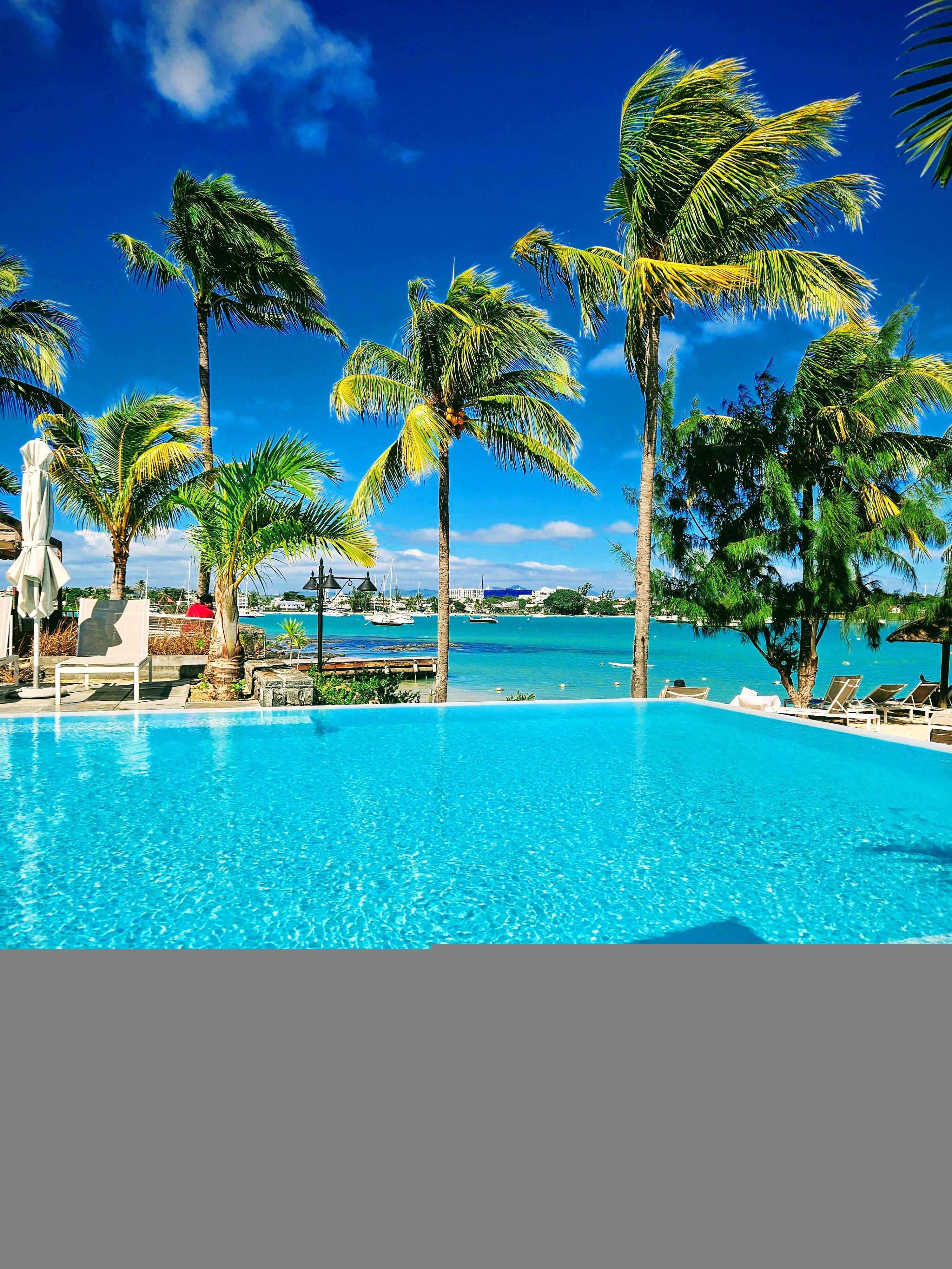 Infinity pool overlooking the ocean