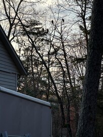 Sunrise!