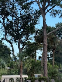 View from the balcony zoomed out to see a peak of the ocean!