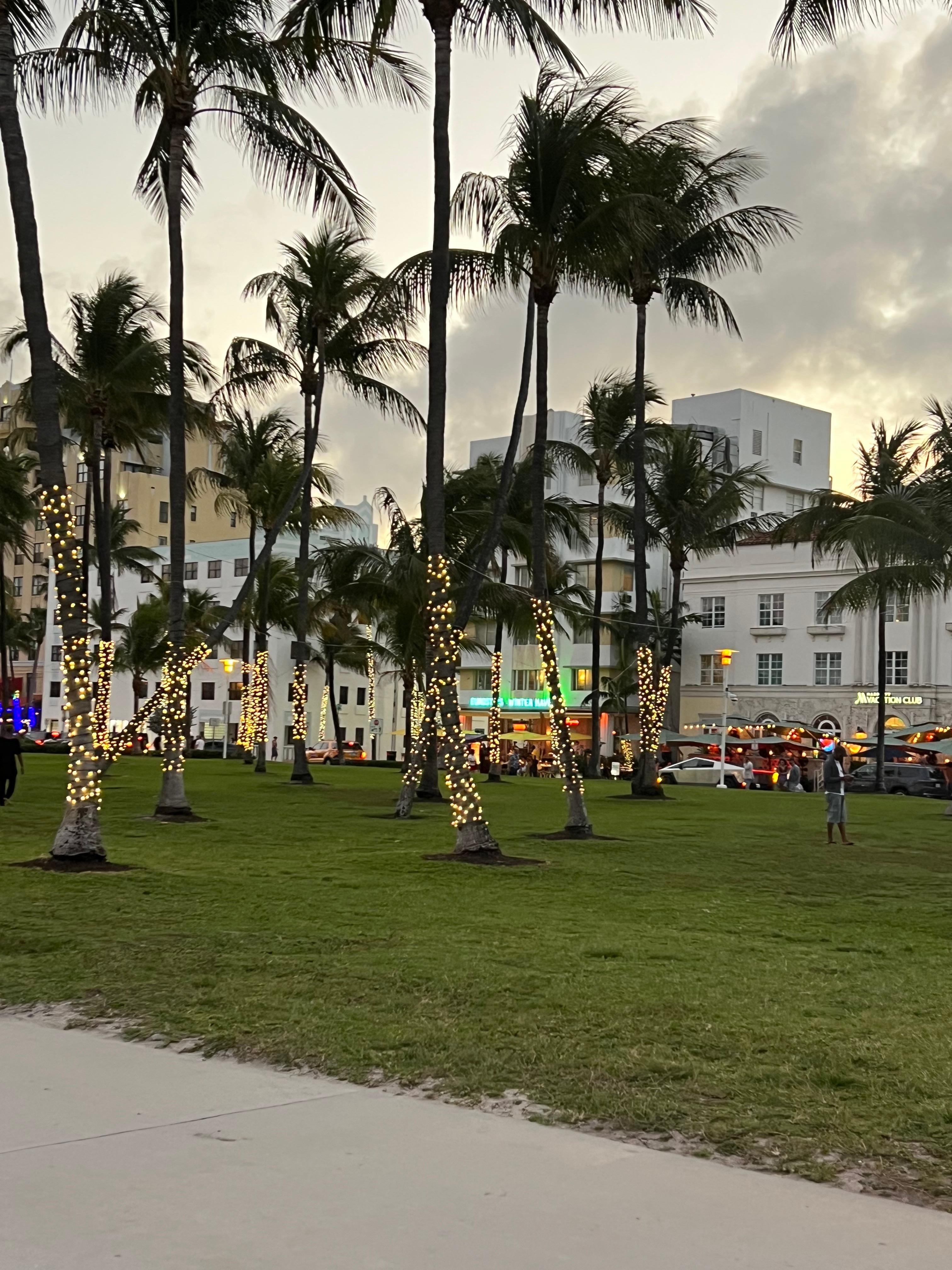 Our walk north from the condo. 