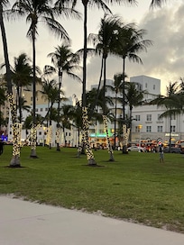 Our walk north from the condo.