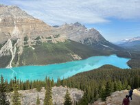 Lac Peyto