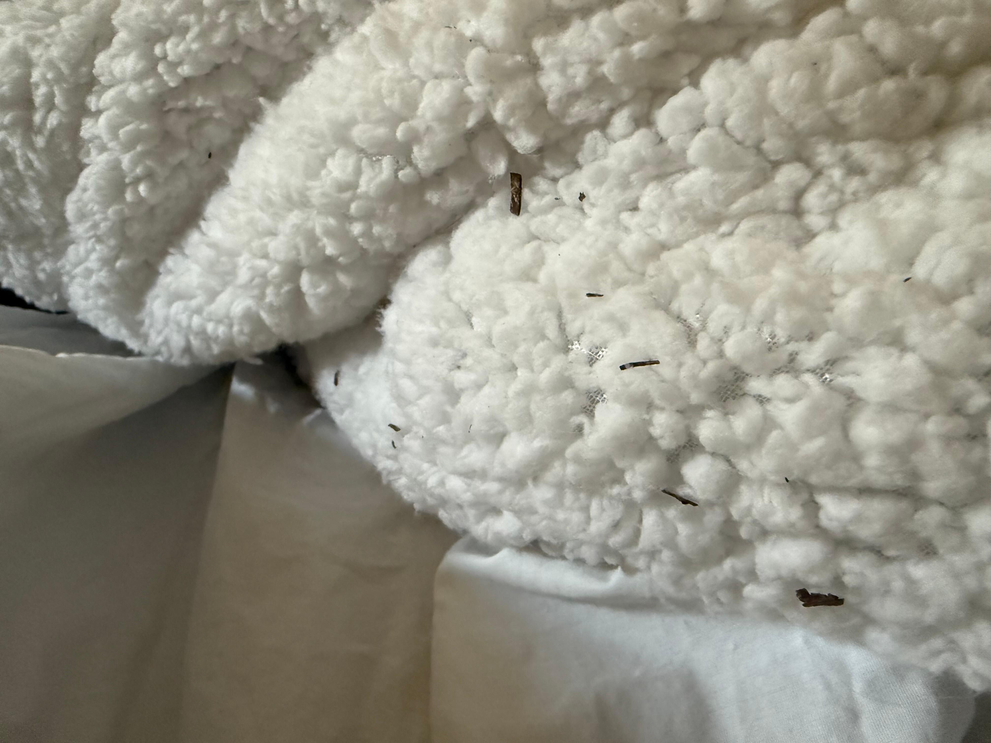 I should have taken more pics of the filth.  This was the bed cover.  Hasn't been washed in a decade.  