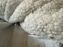I should have taken more pics of the filth. This was the bed cover. Hasn't been washed in a decade.