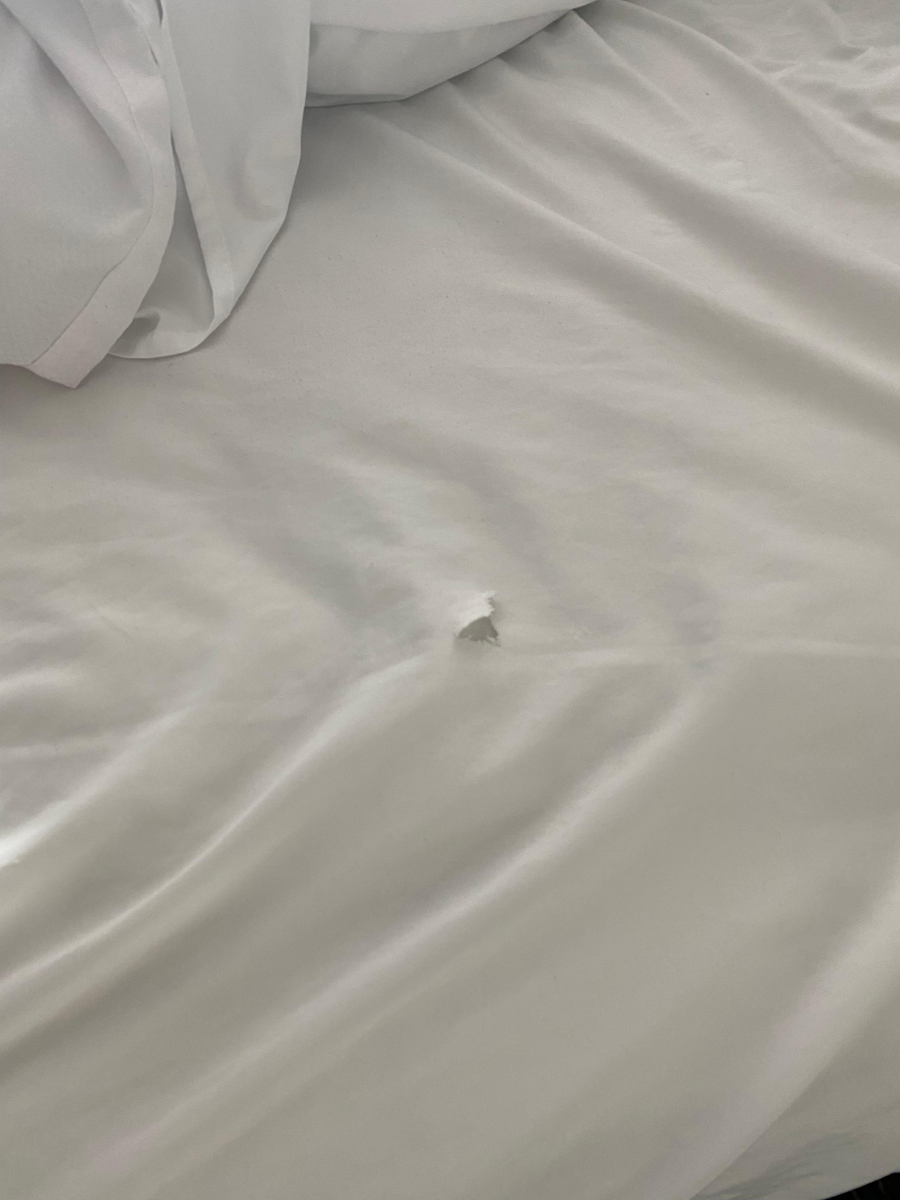 “torn bedsheet