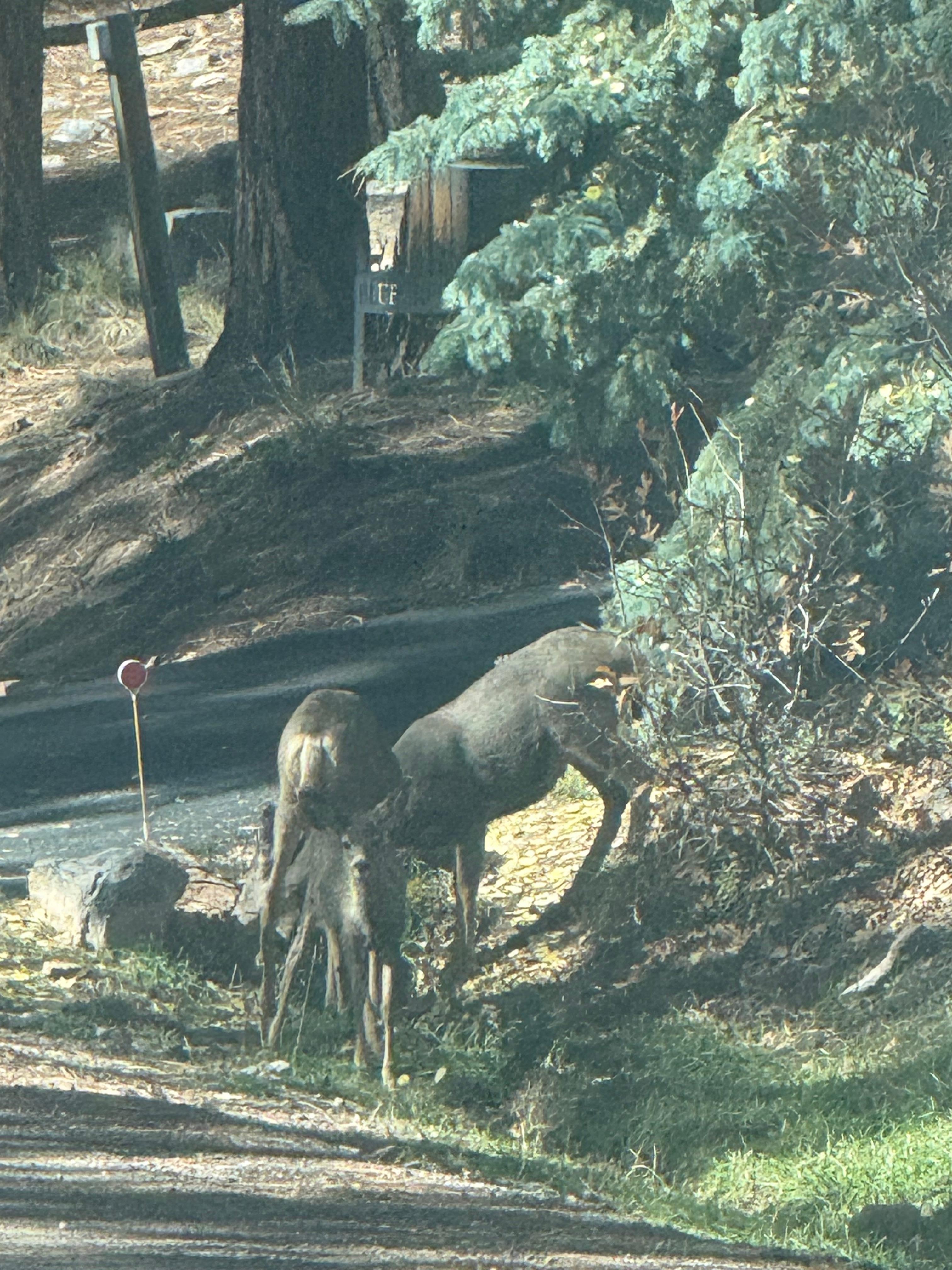 Right in front of this property 