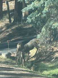 Right in front of this property