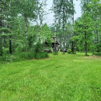 Cabin in the woods