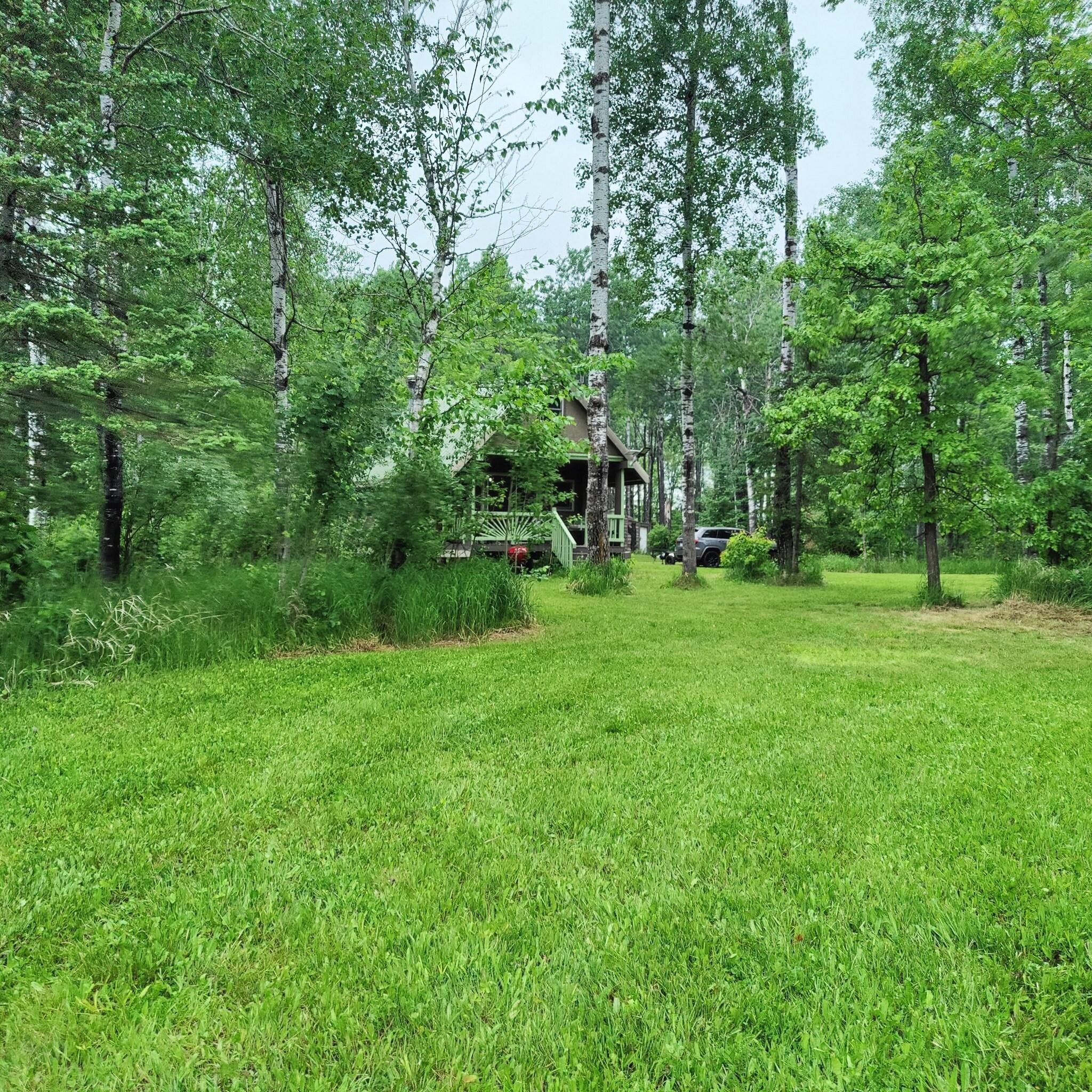 Cabin in the woods