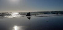 North Fogarty beach