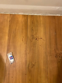 Blood stains on the bathroom floor