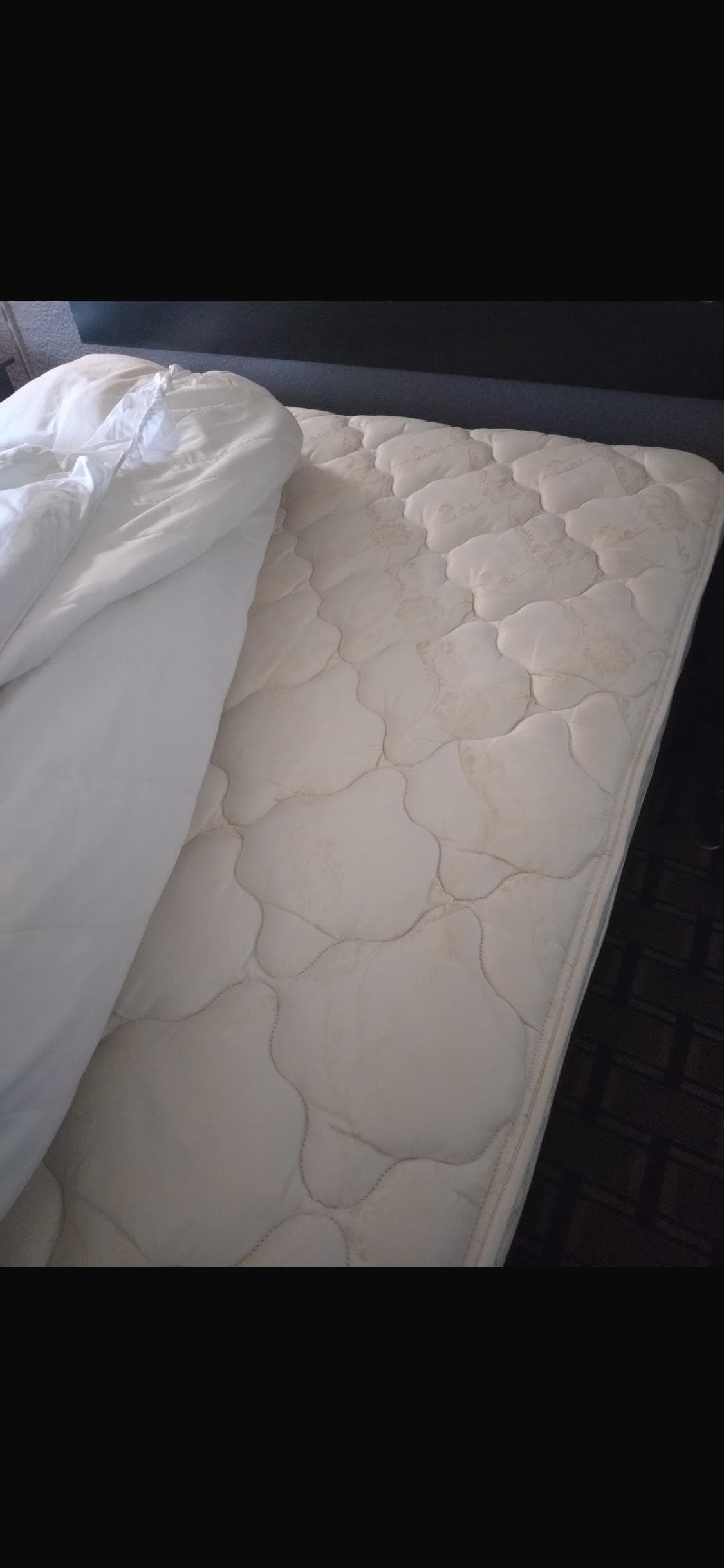 I was itching so I assume bed bugs!