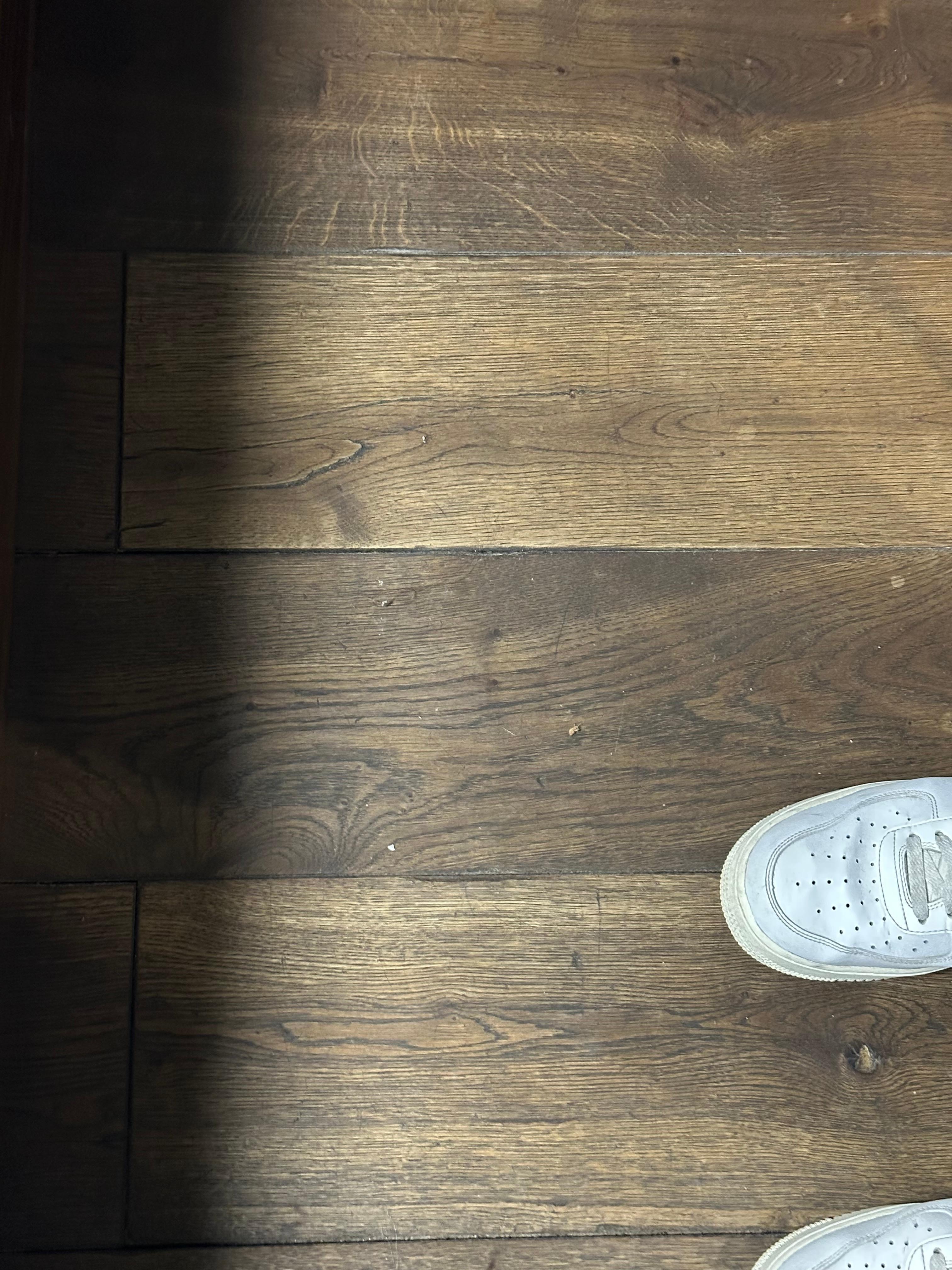 Dusty floor with crumbs of something 