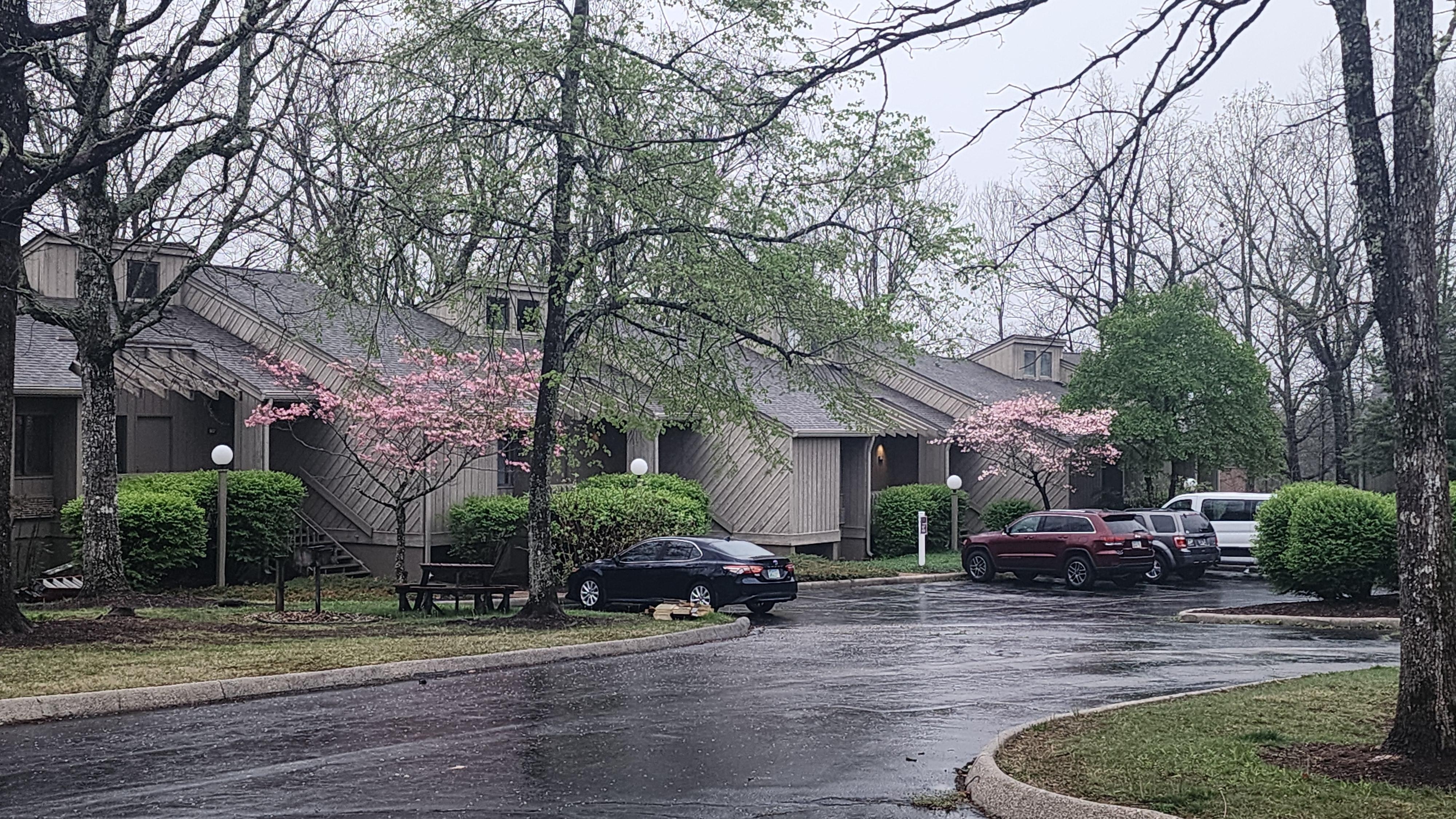 That van was ours, plot is at the end 😊